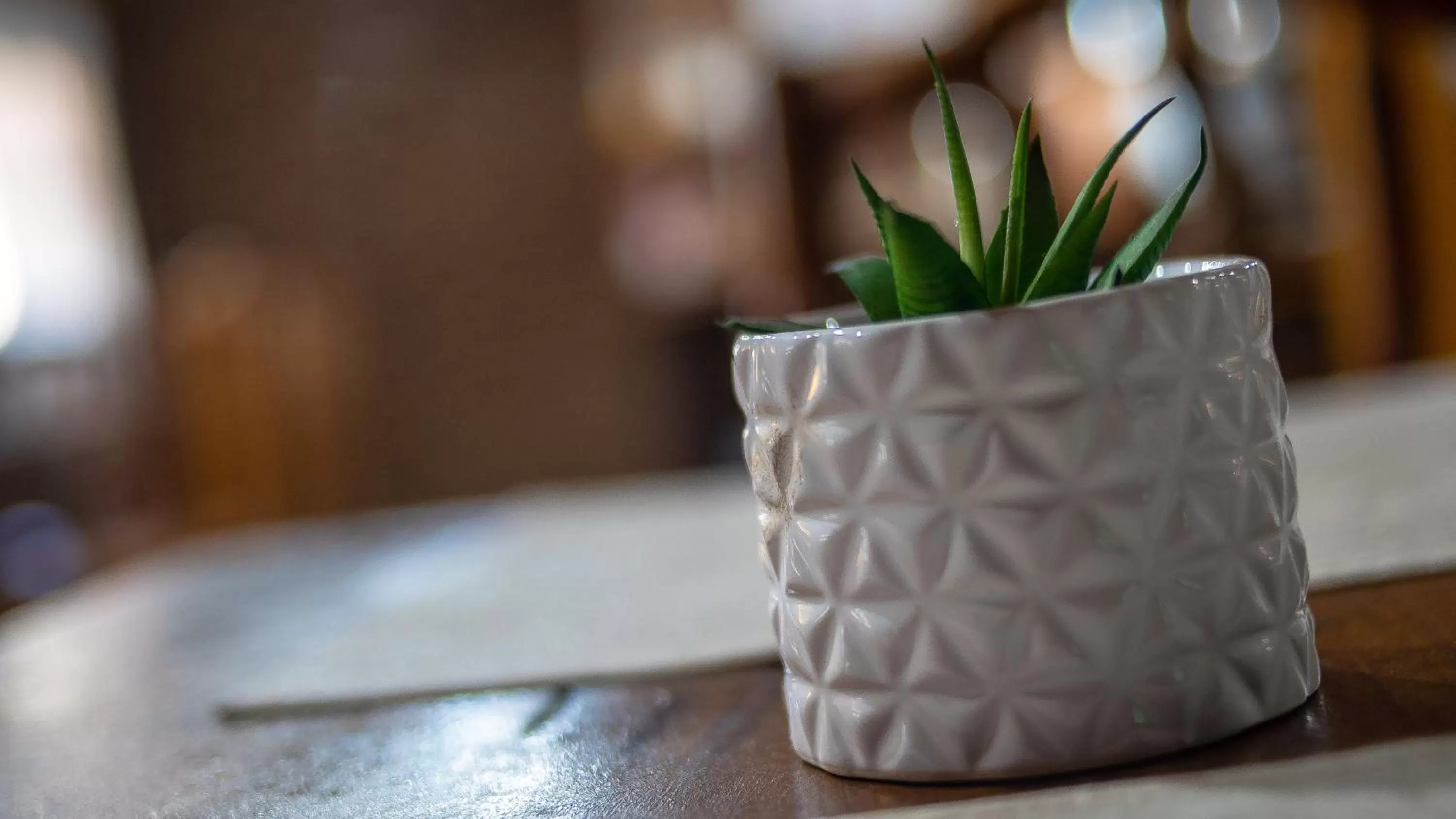 Decorative detail in Posada Los Tajibos