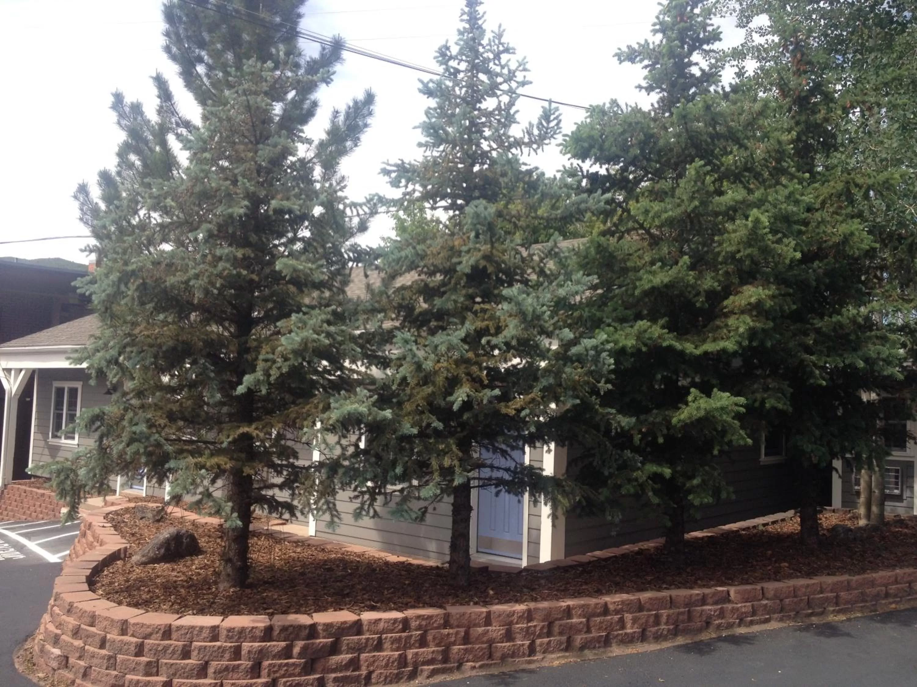 Facade/entrance in Basalt Mountain Inn
