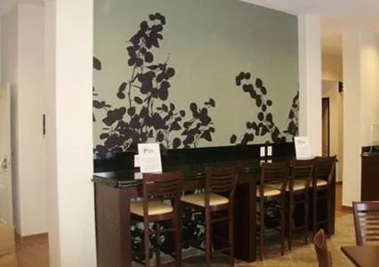 Business facilities in Sleep Inn & Suites Garden City