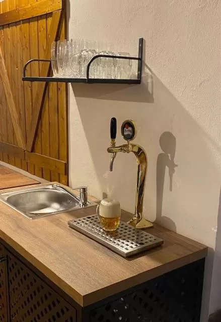 Kitchen/Kitchenette in Hotel and restaurant Via Ironia