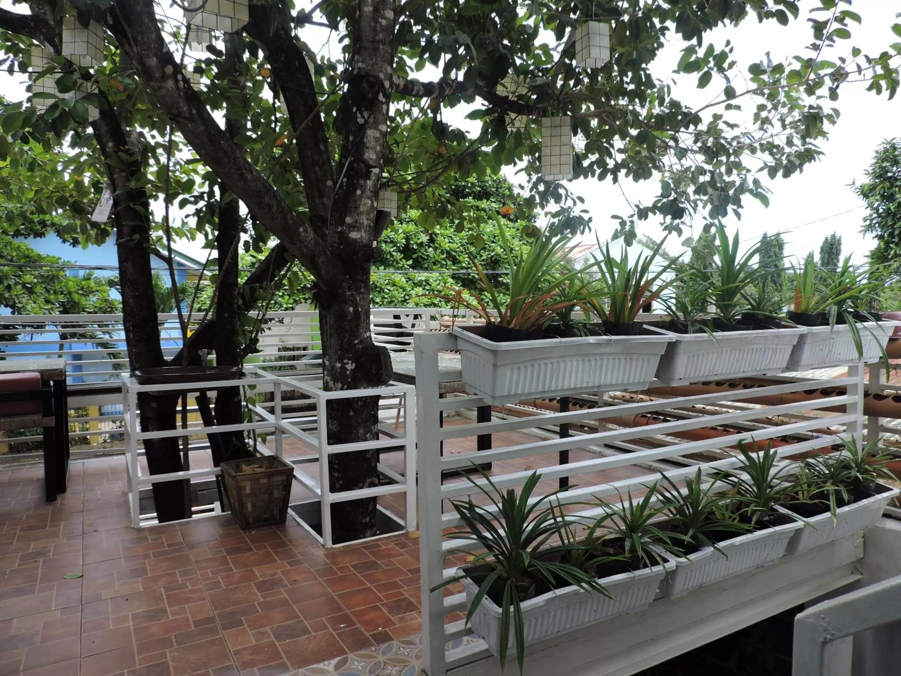 Balcony/Terrace in Orange Mangrove Pension House by SMS Hospitality