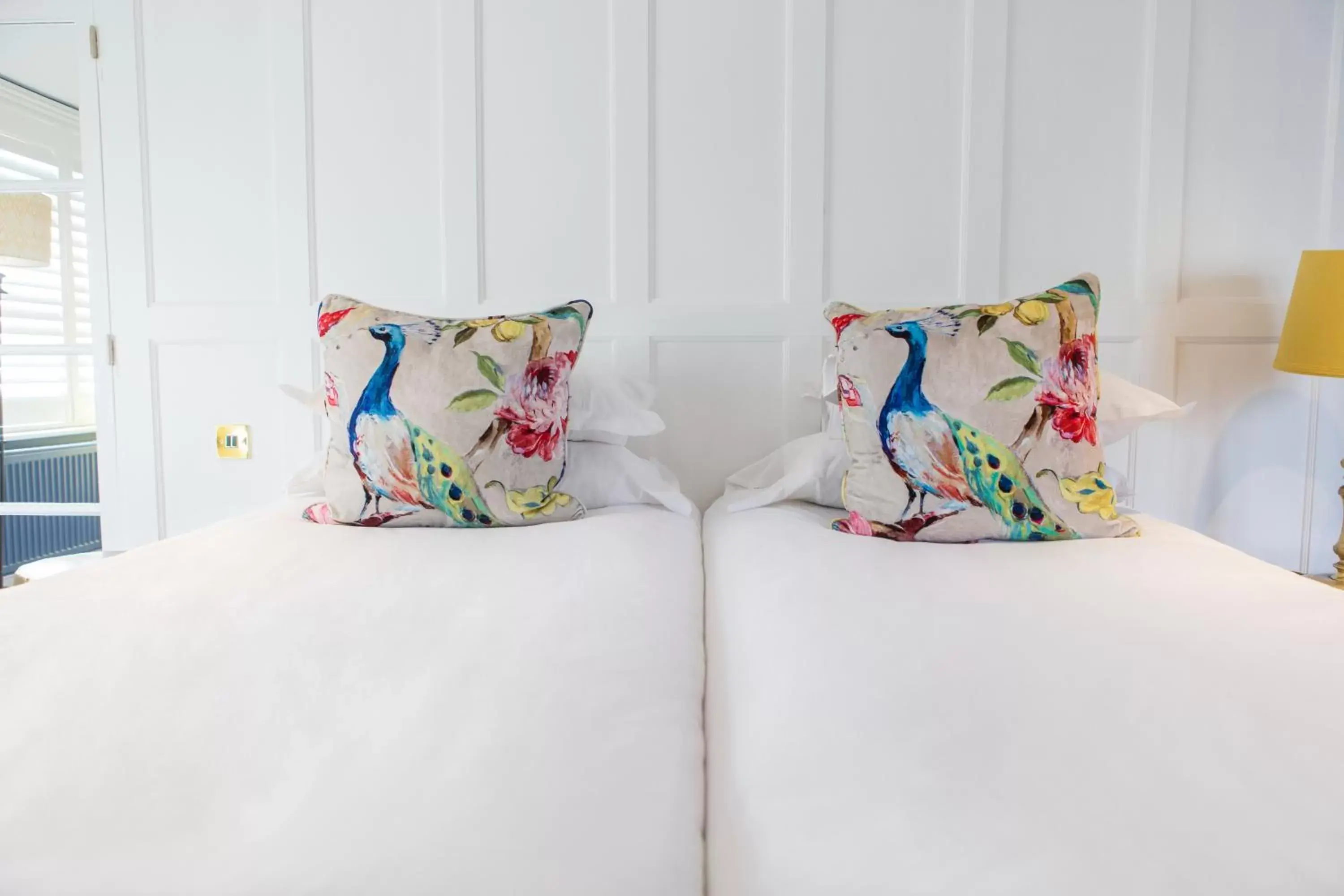 Twin Room - single occupancy in Mount Edgcumbe Twin Room - single occupancy in Mount Edgcumbe