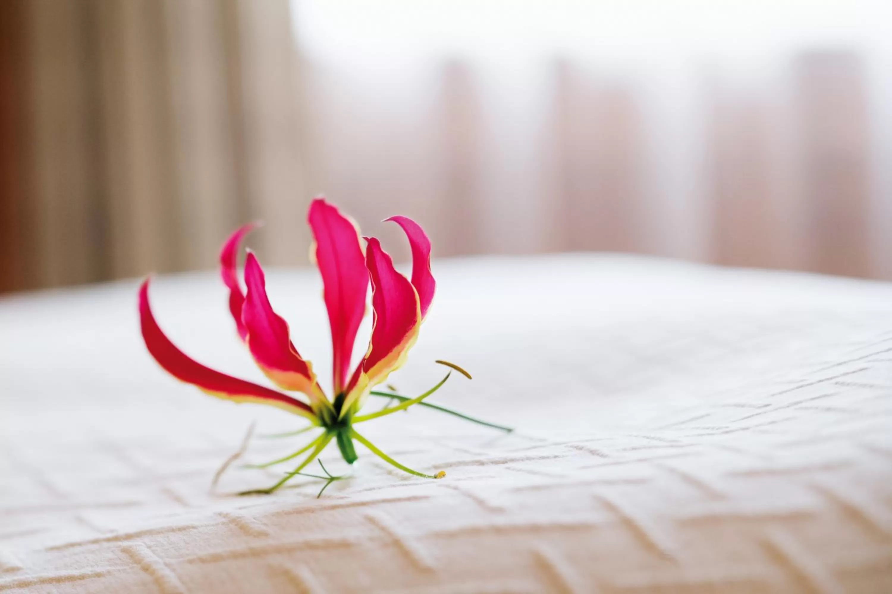 Bedroom, Bed in Mövenpick Hotel du Lac Tunis