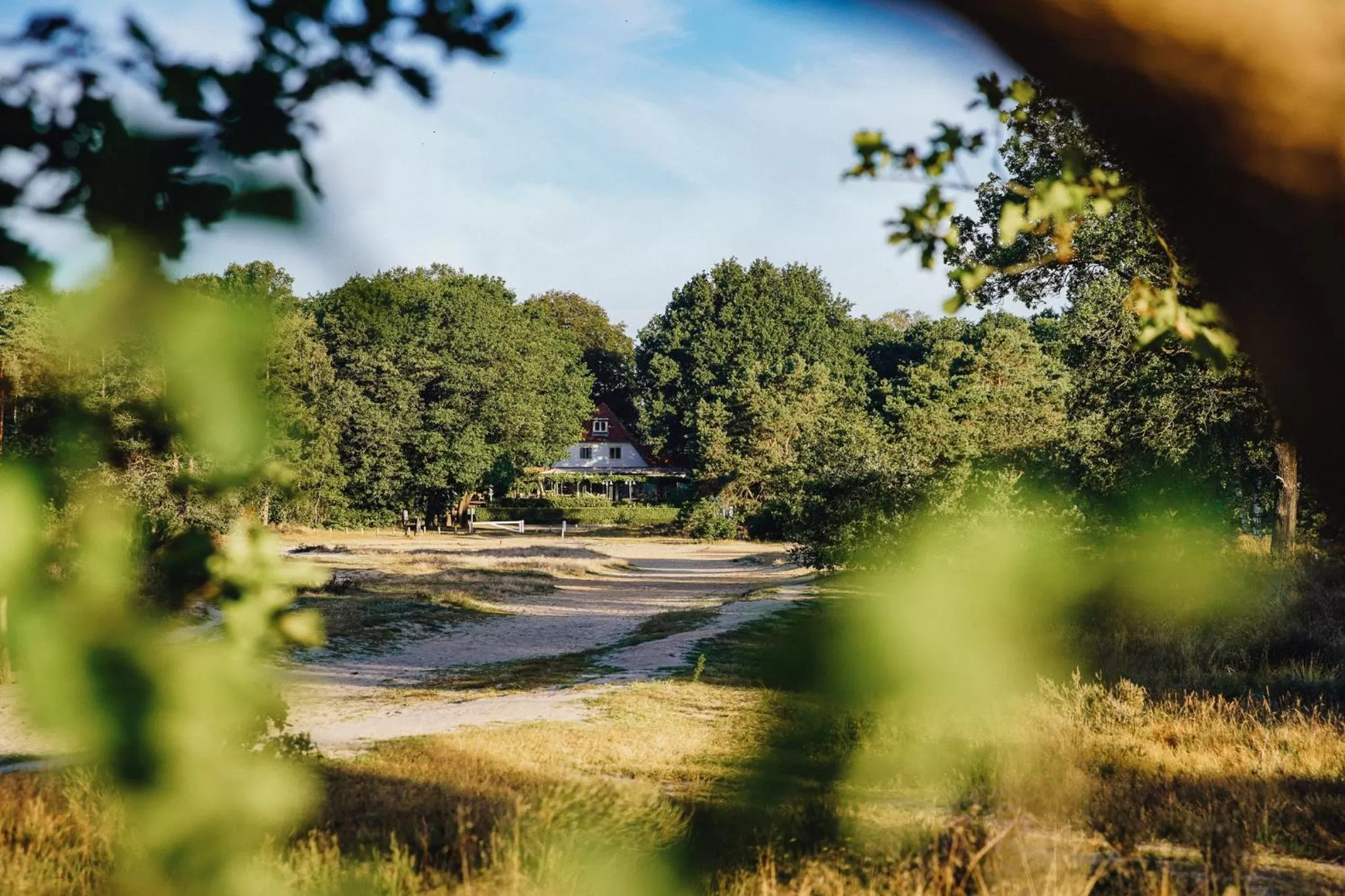 Natural landscape in de Wever Lodge