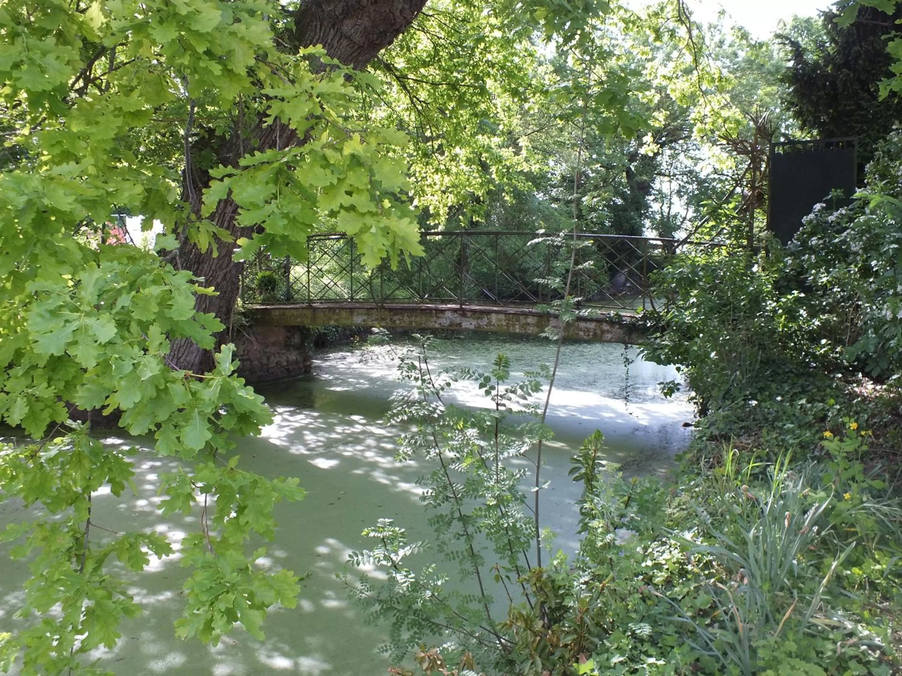 Day in Château de Nazé Vivy-Saumur