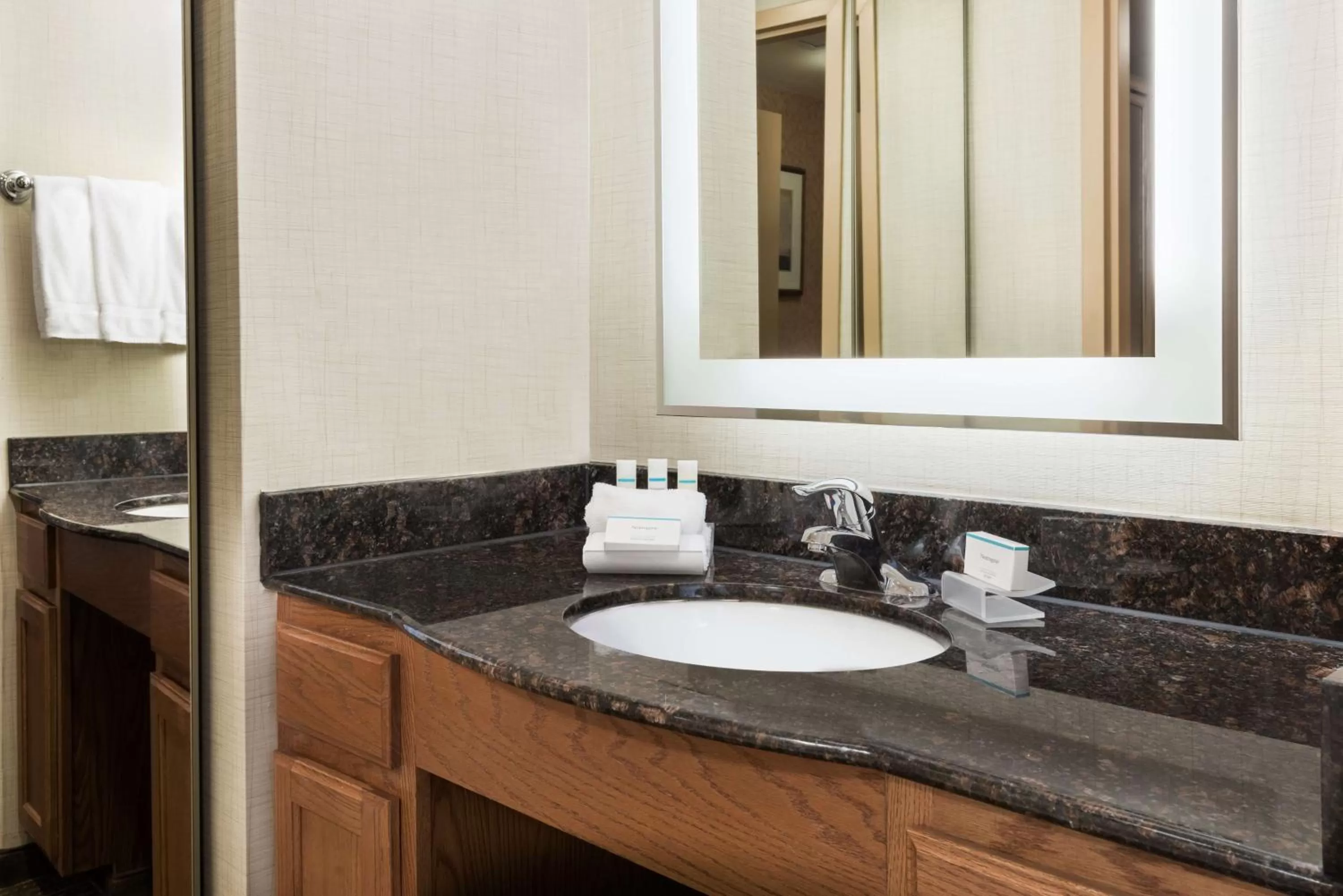 Bathroom in Homewood Suites by Hilton Buffalo-Amherst