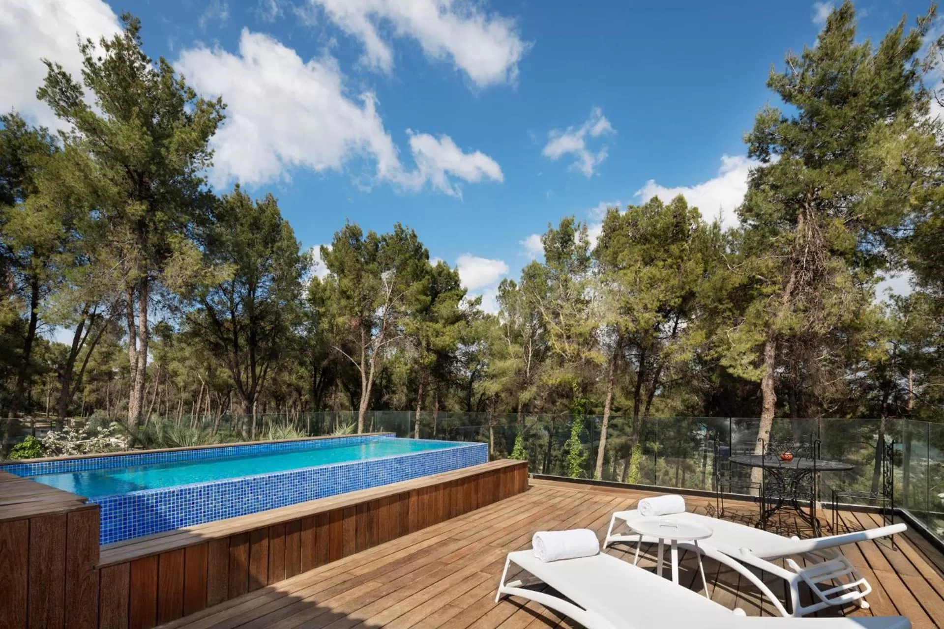 Swimming pool in Herbert Samuel Bayit Bagalil Boutique