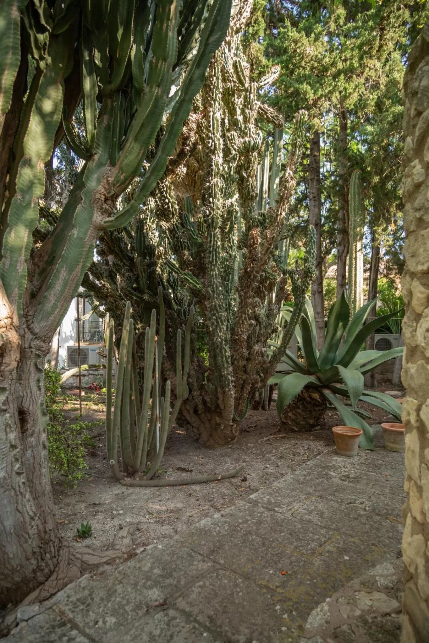 Can Moio Turismo de Interior