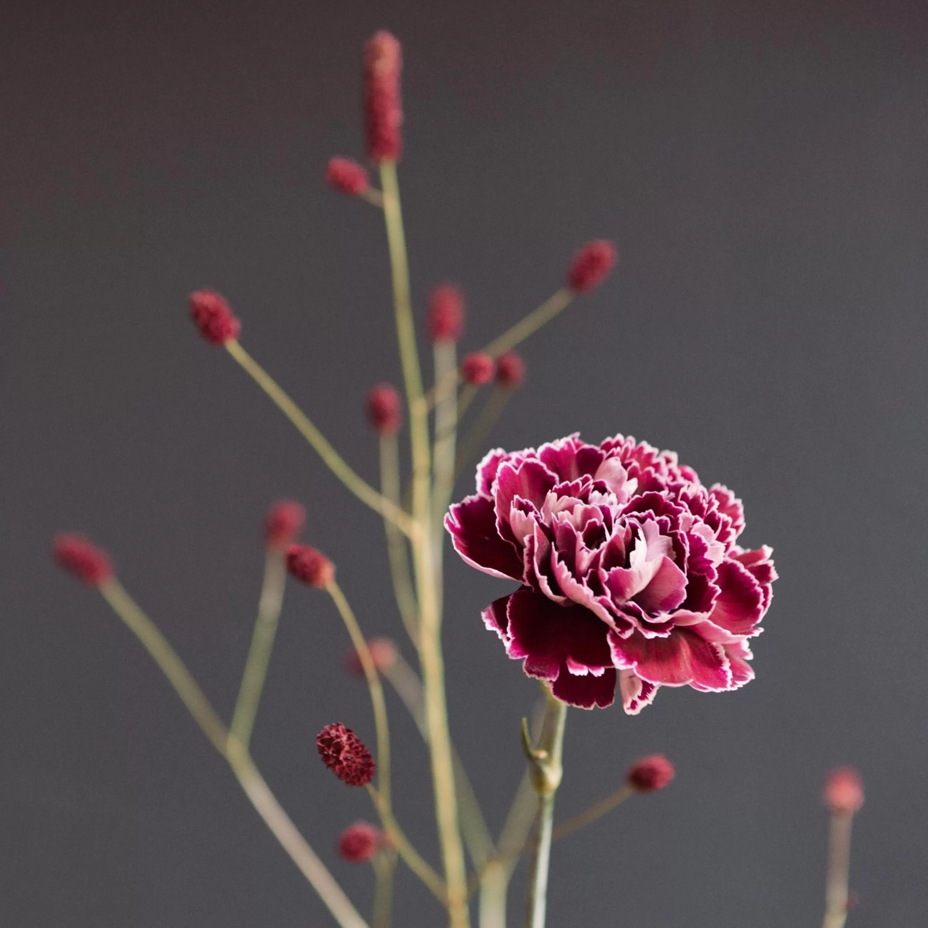 Decorative detail in Central Hotel bel étage