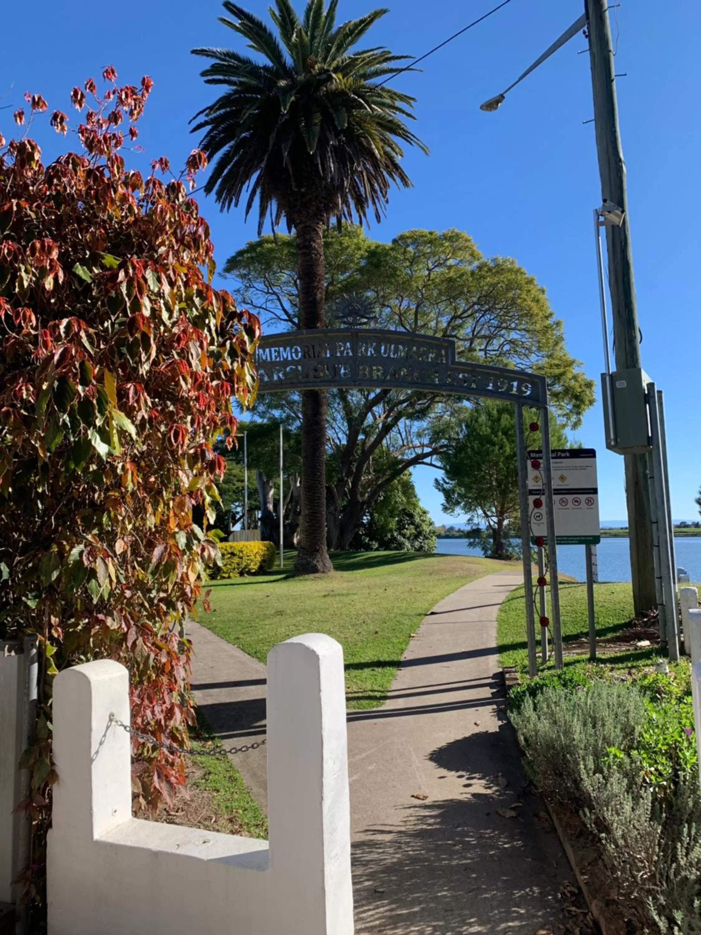 Garden view, Garden in The Bank House Ulmarra