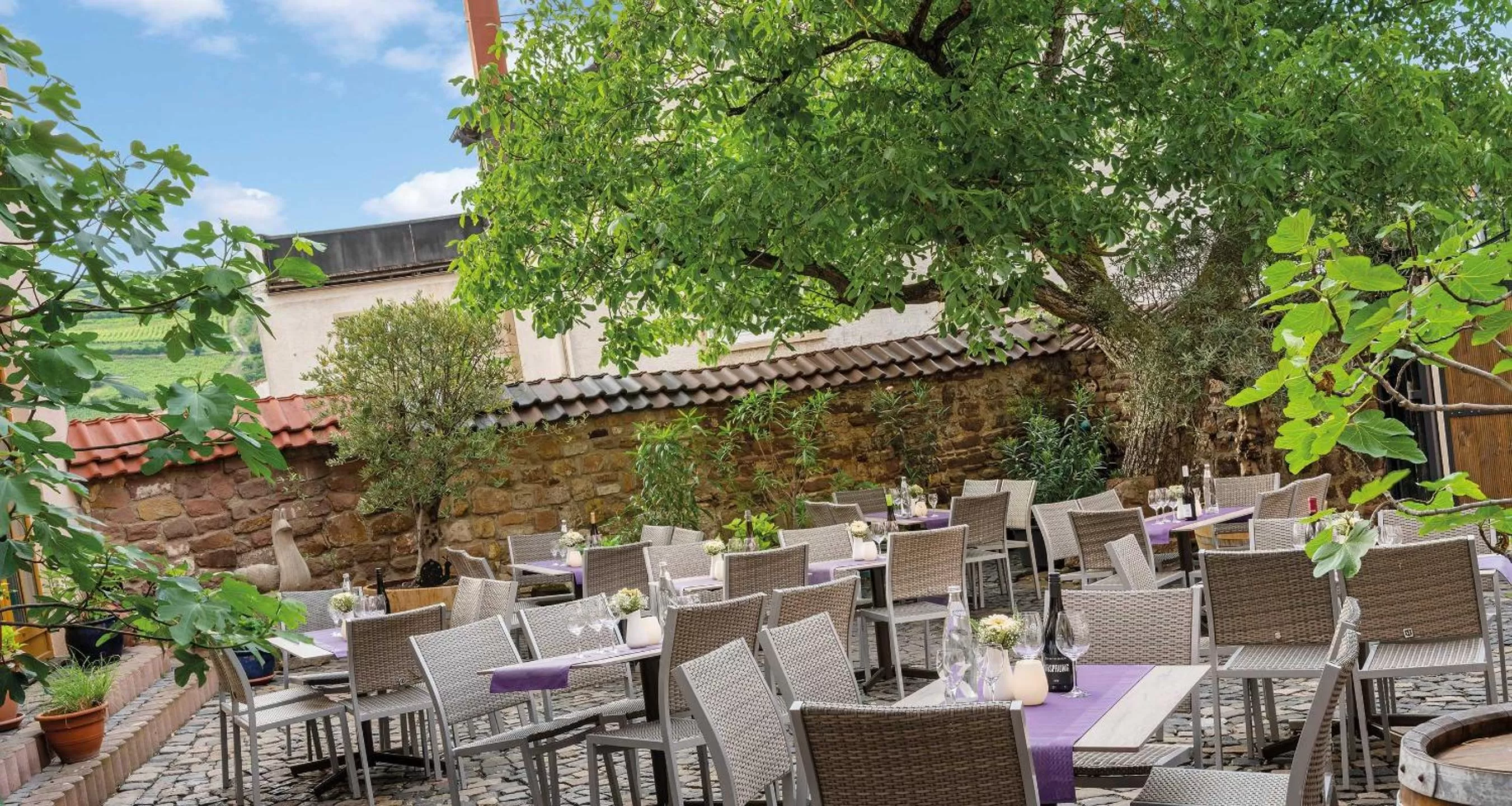 Garden view in Pfalzhotel Asselheim