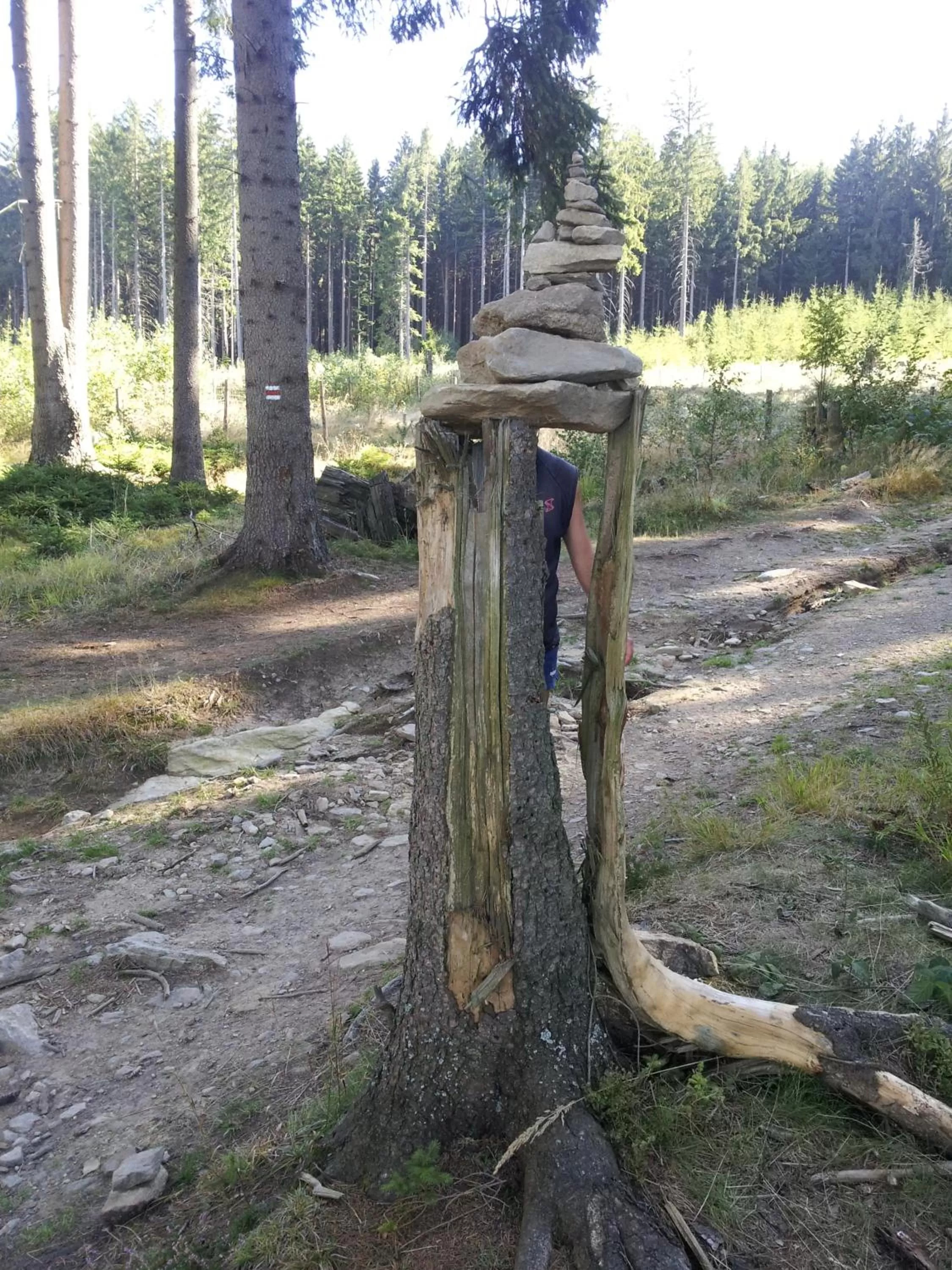 Spring in Wellness Hotel Central