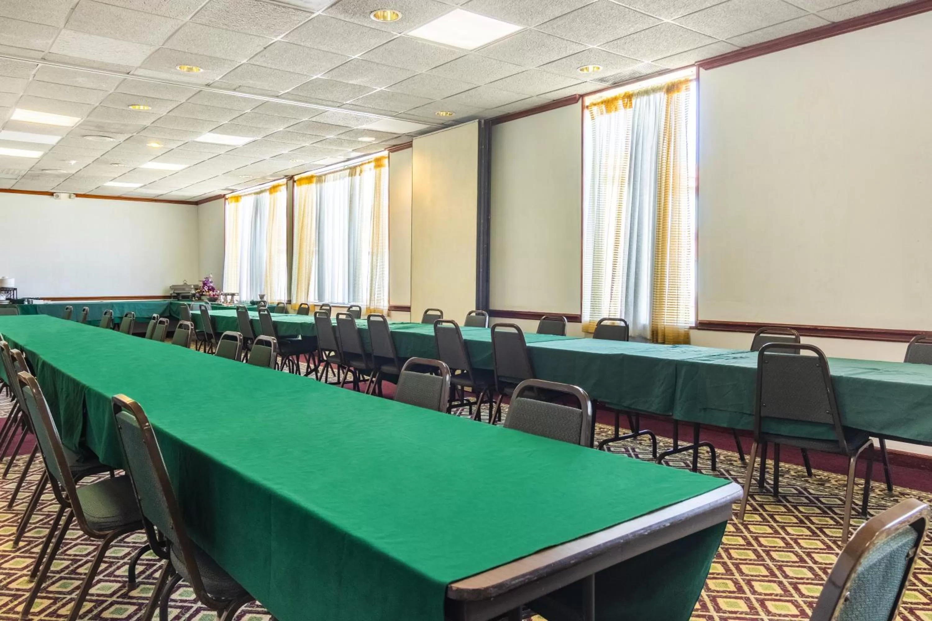 Meeting/conference room in Red Roof Inn Ashtabula - Austinburg