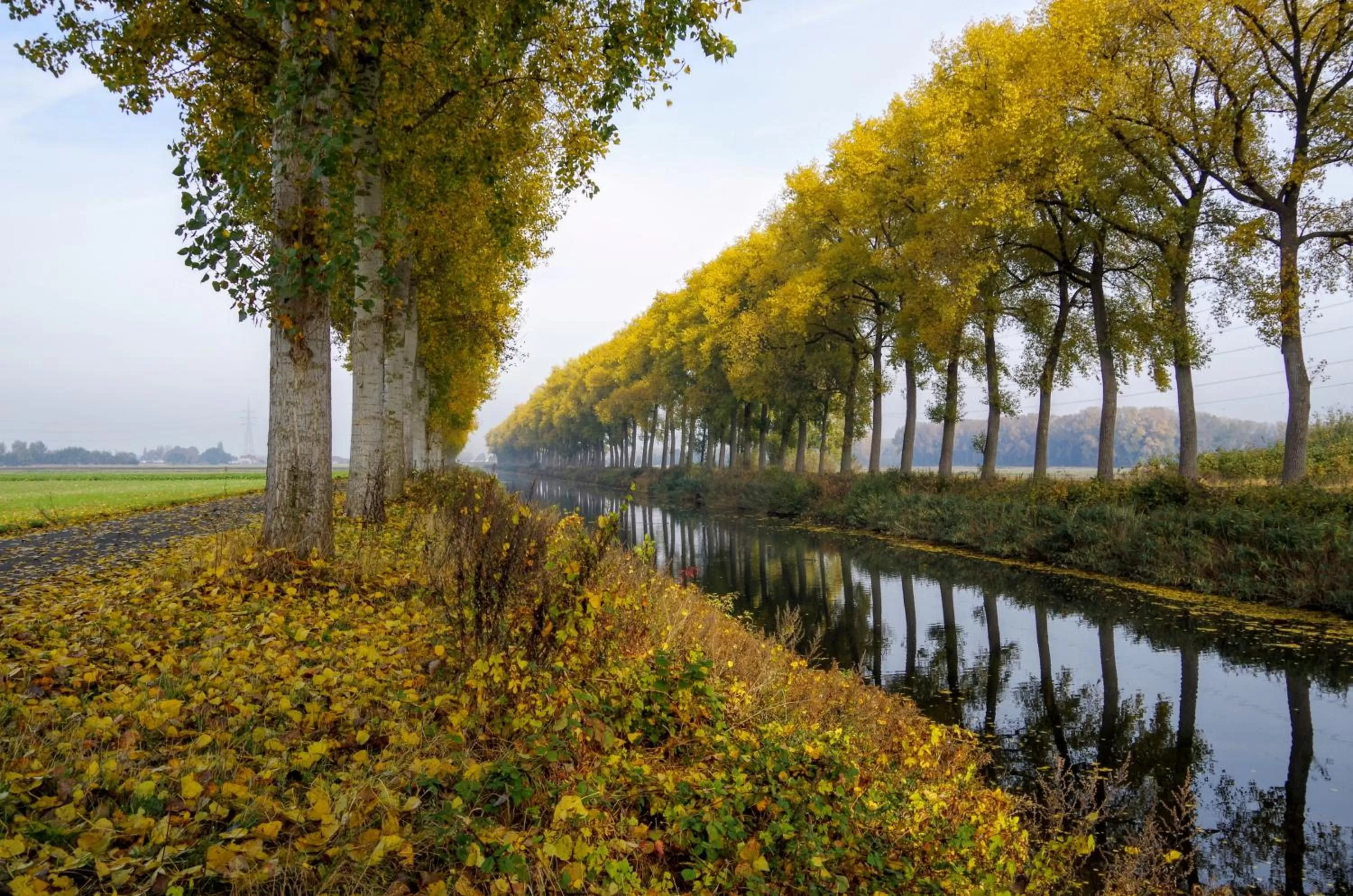 Natural landscape in Boutique hotel Shamon