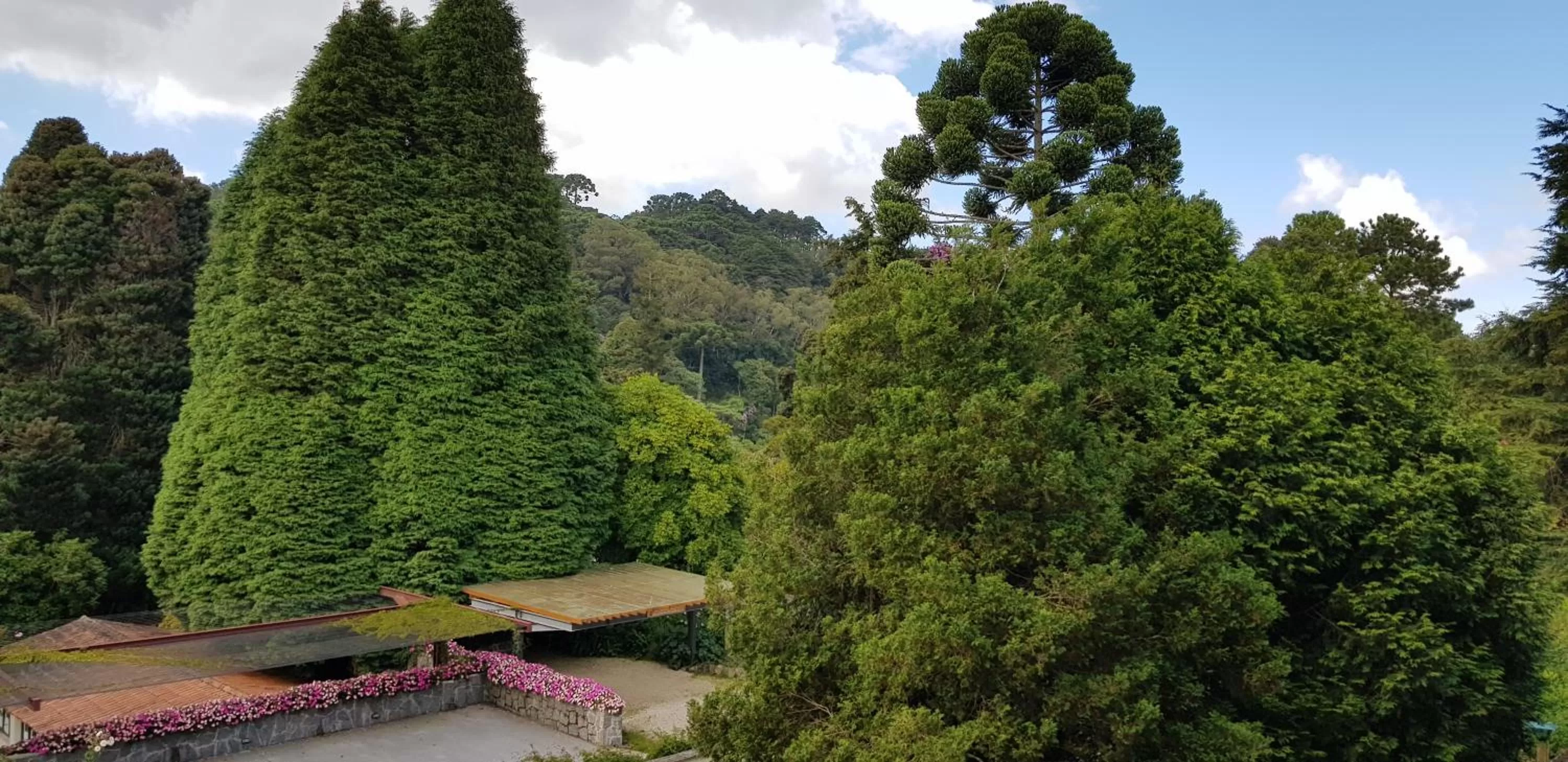 Natural landscape in Hotel Toriba