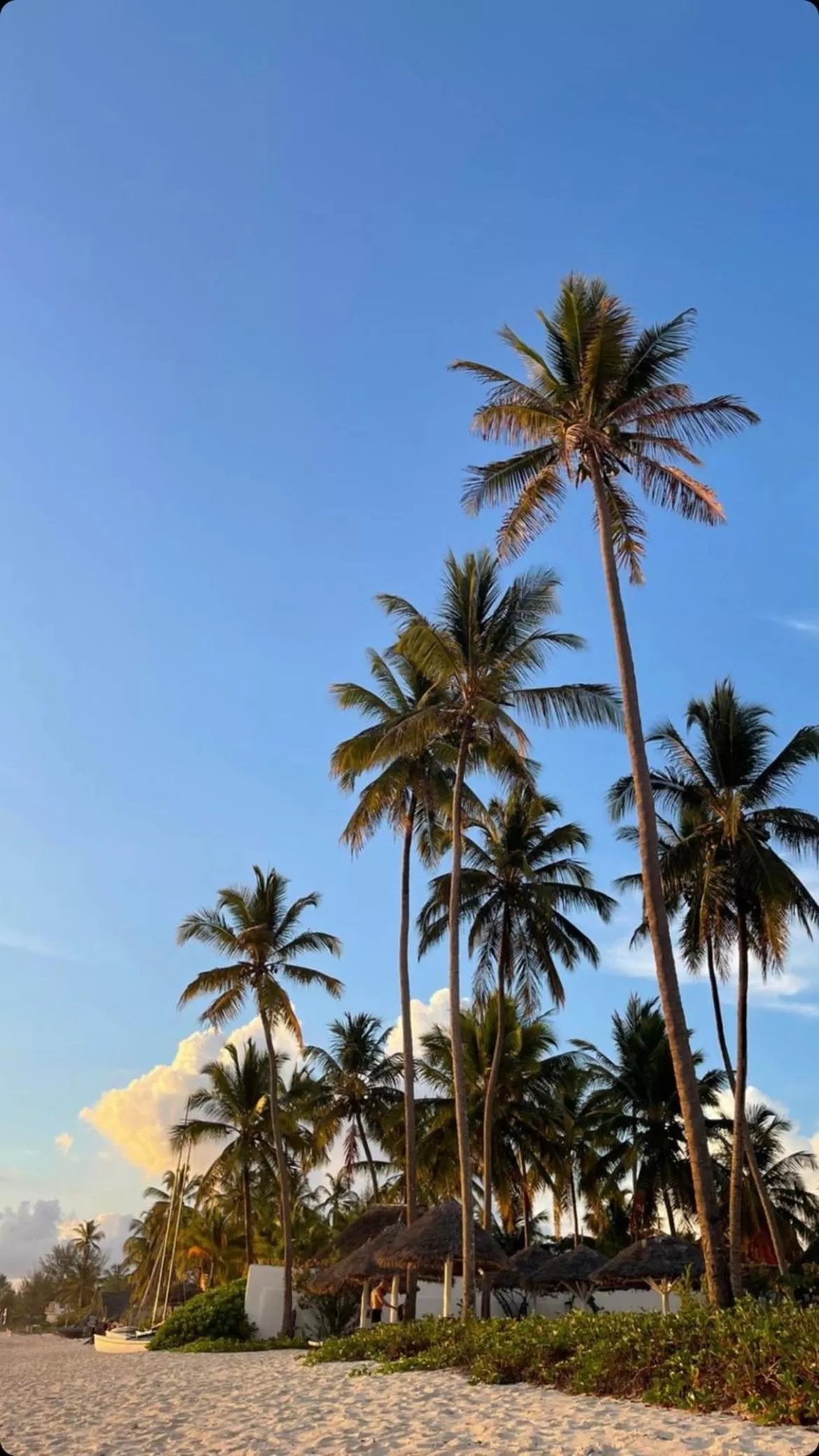 Garden in Kihori Nungwi