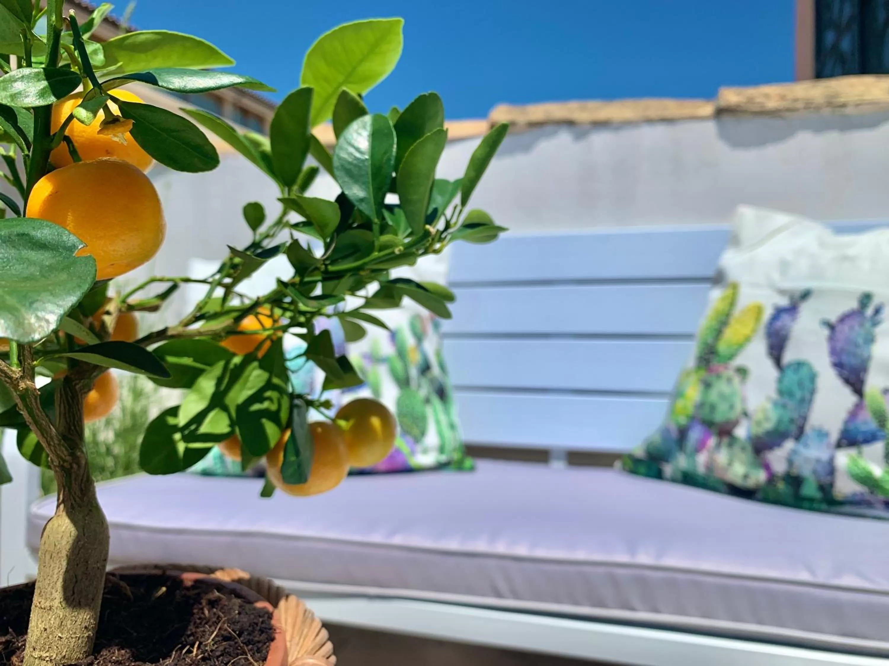 Inner courtyard view in Hotel Posta