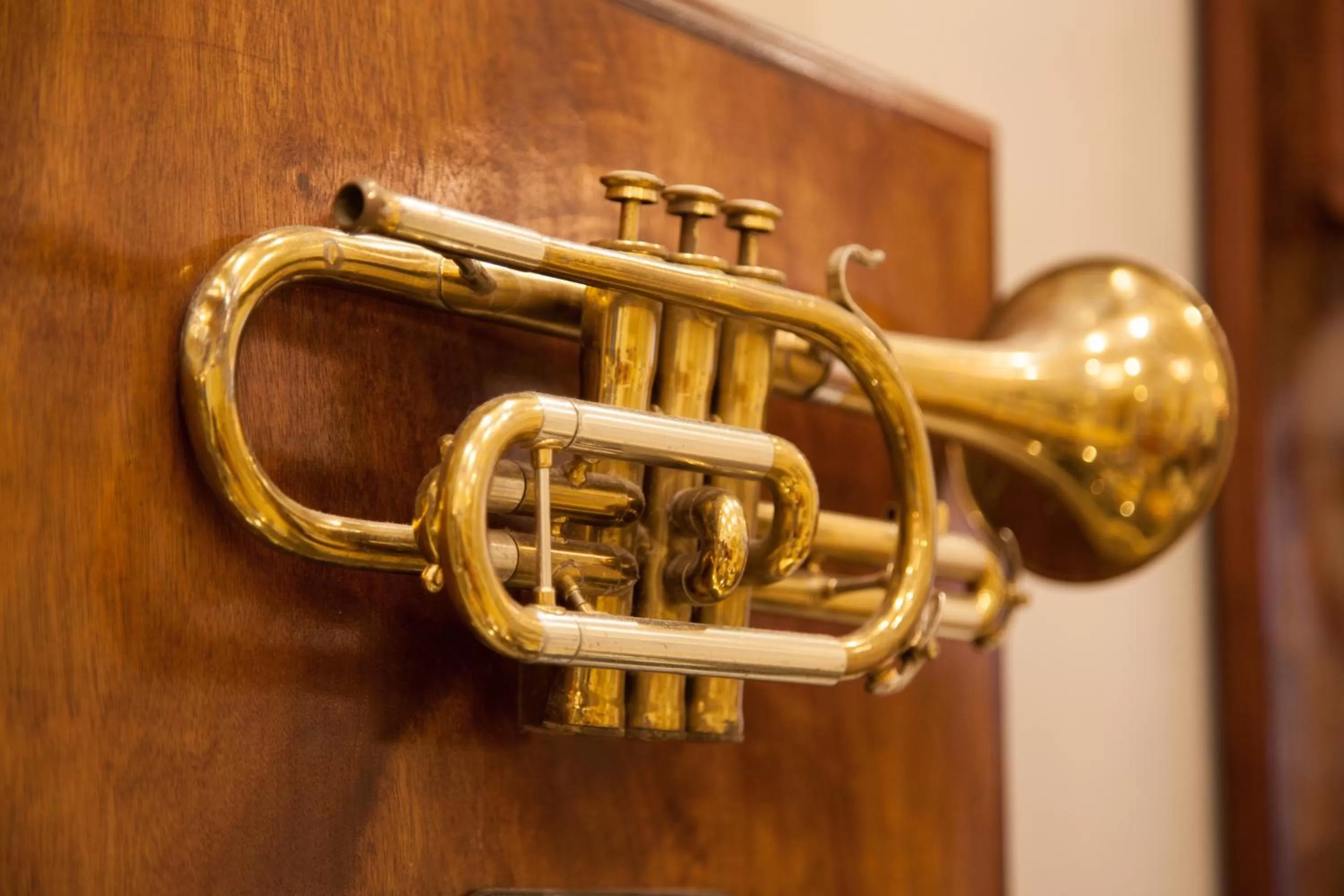 Decorative detail in Hotel St. Pierre French Quarter