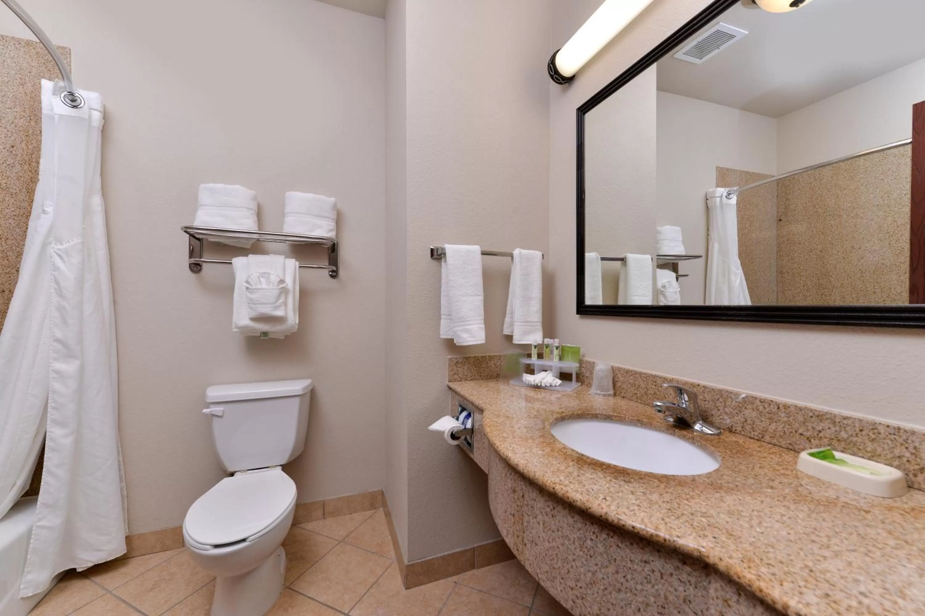 Bathroom in Holiday Inn Express Hotel & Suites Sherman Highway 75 by IHG
