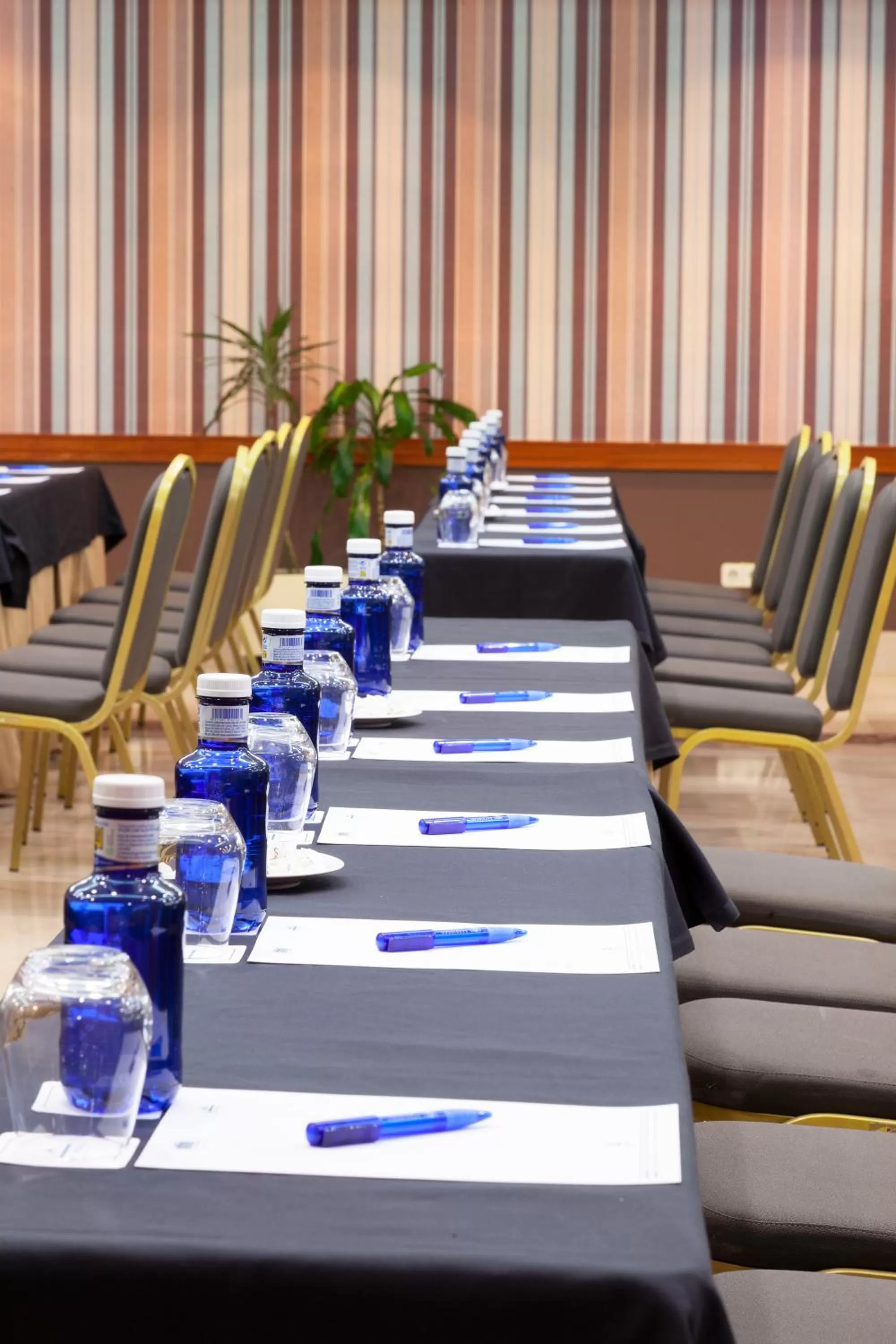 Meeting/conference room in Hotel Hoyuela