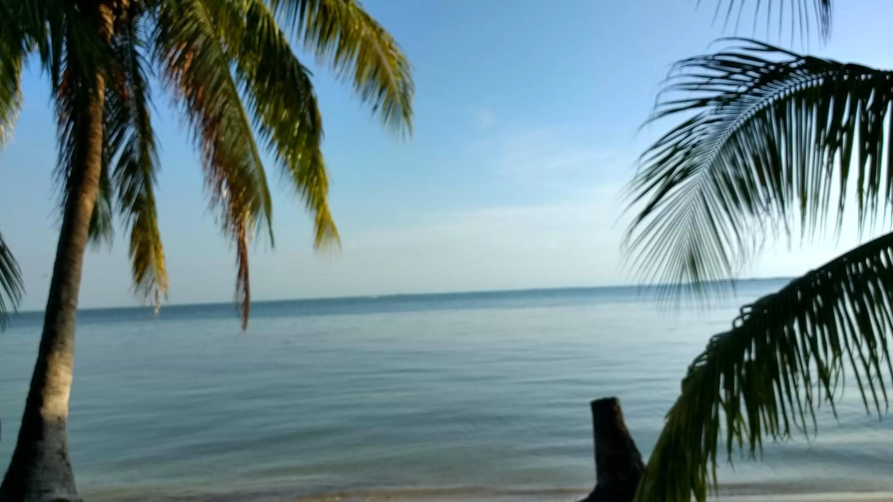 Freedom Shores "La Gringa" Hotel - Universally Designed