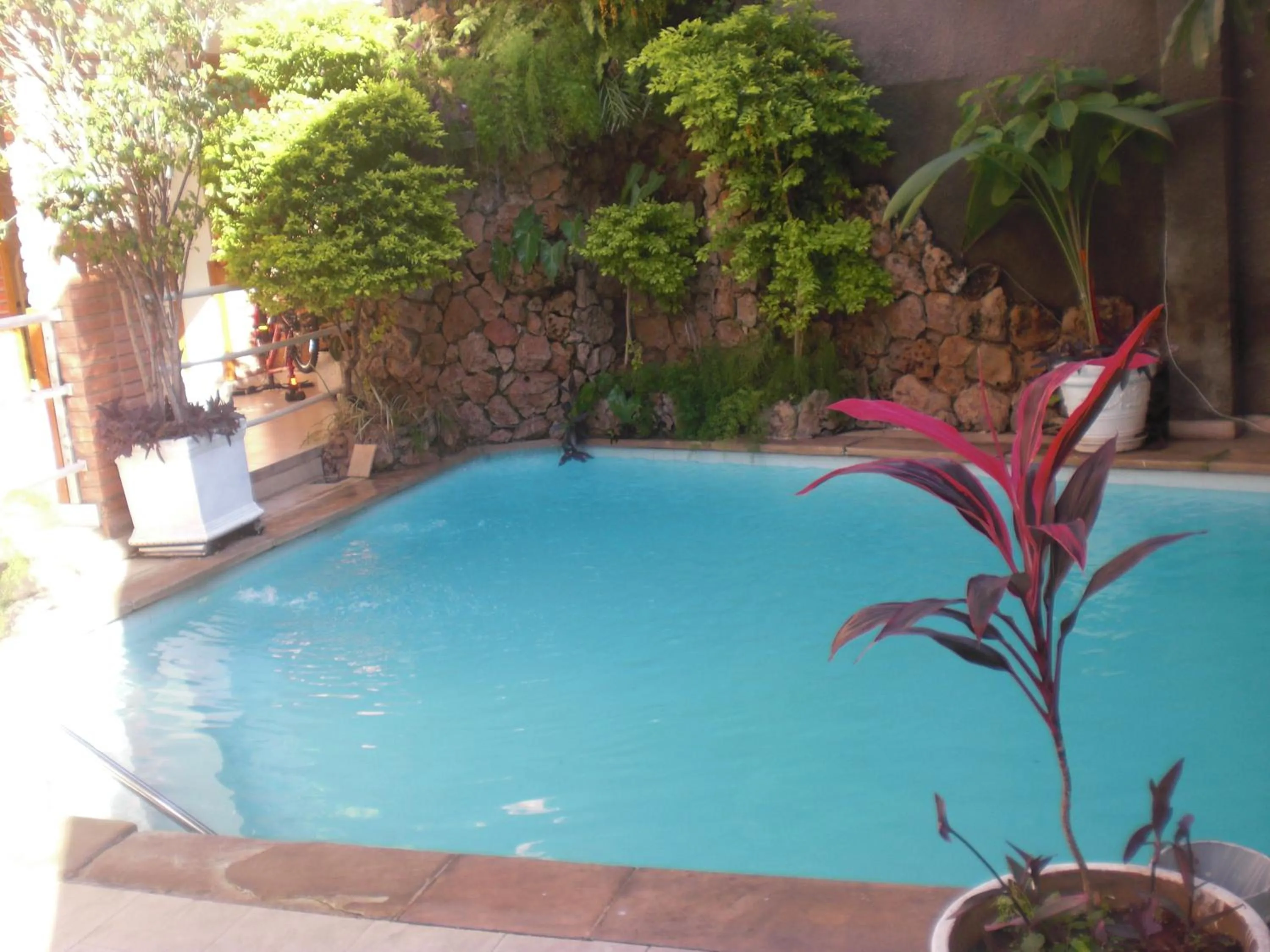 Day in Hotel Palmas del Sol