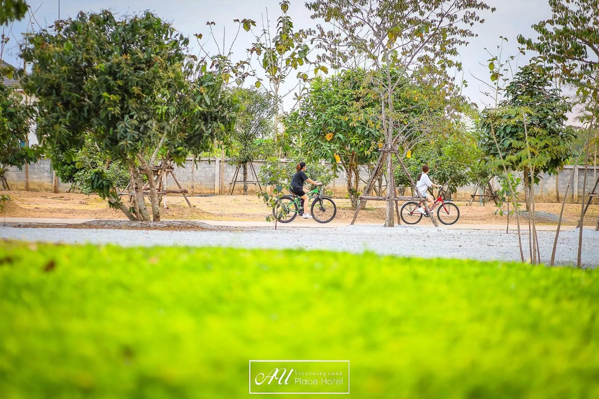 Natural landscape in AU Place Hotel