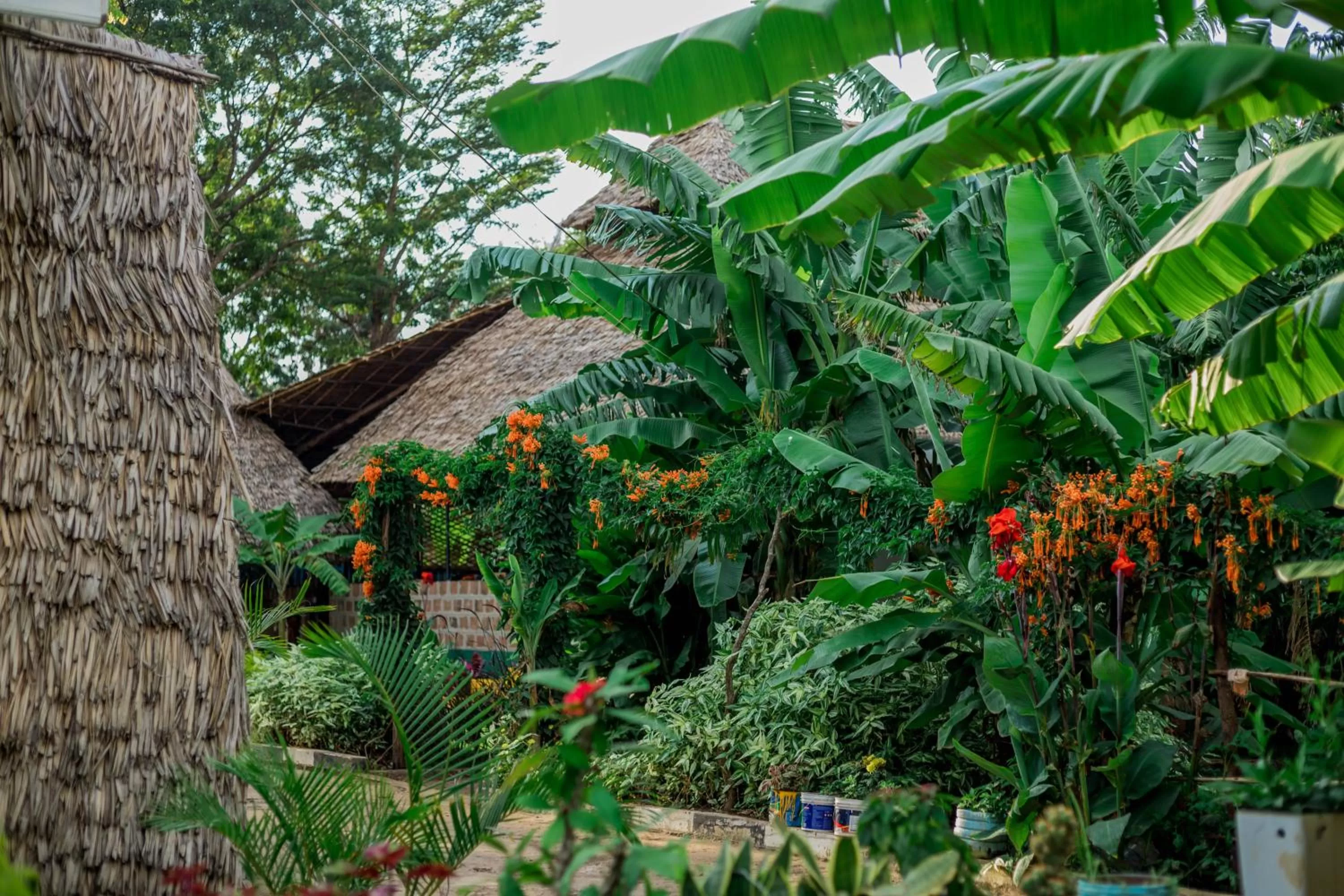 Property Building in Royal Wonders Hotel