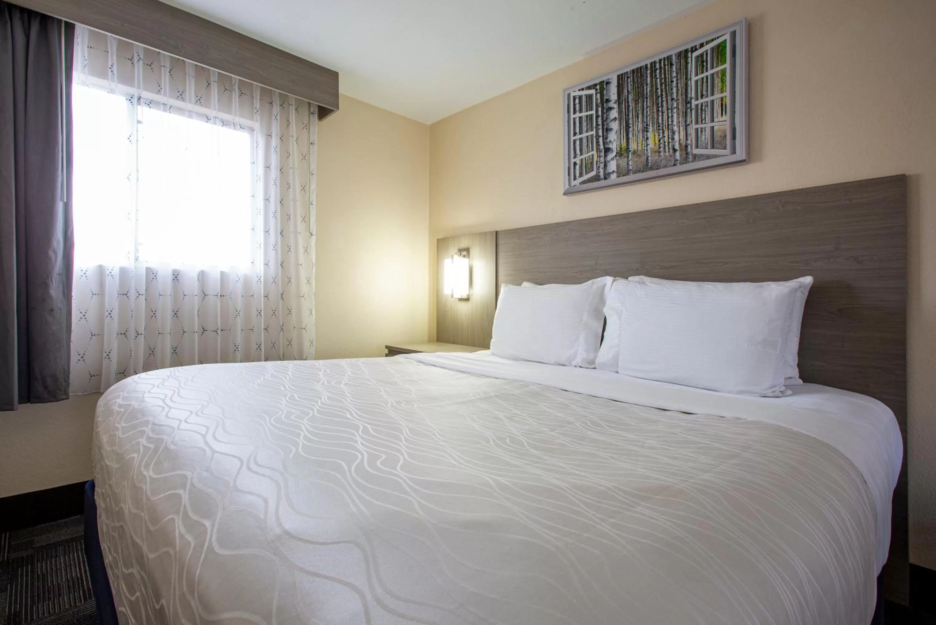 Bed in Hotel Aspen Flagstaff/ Grand Canyon InnSuites