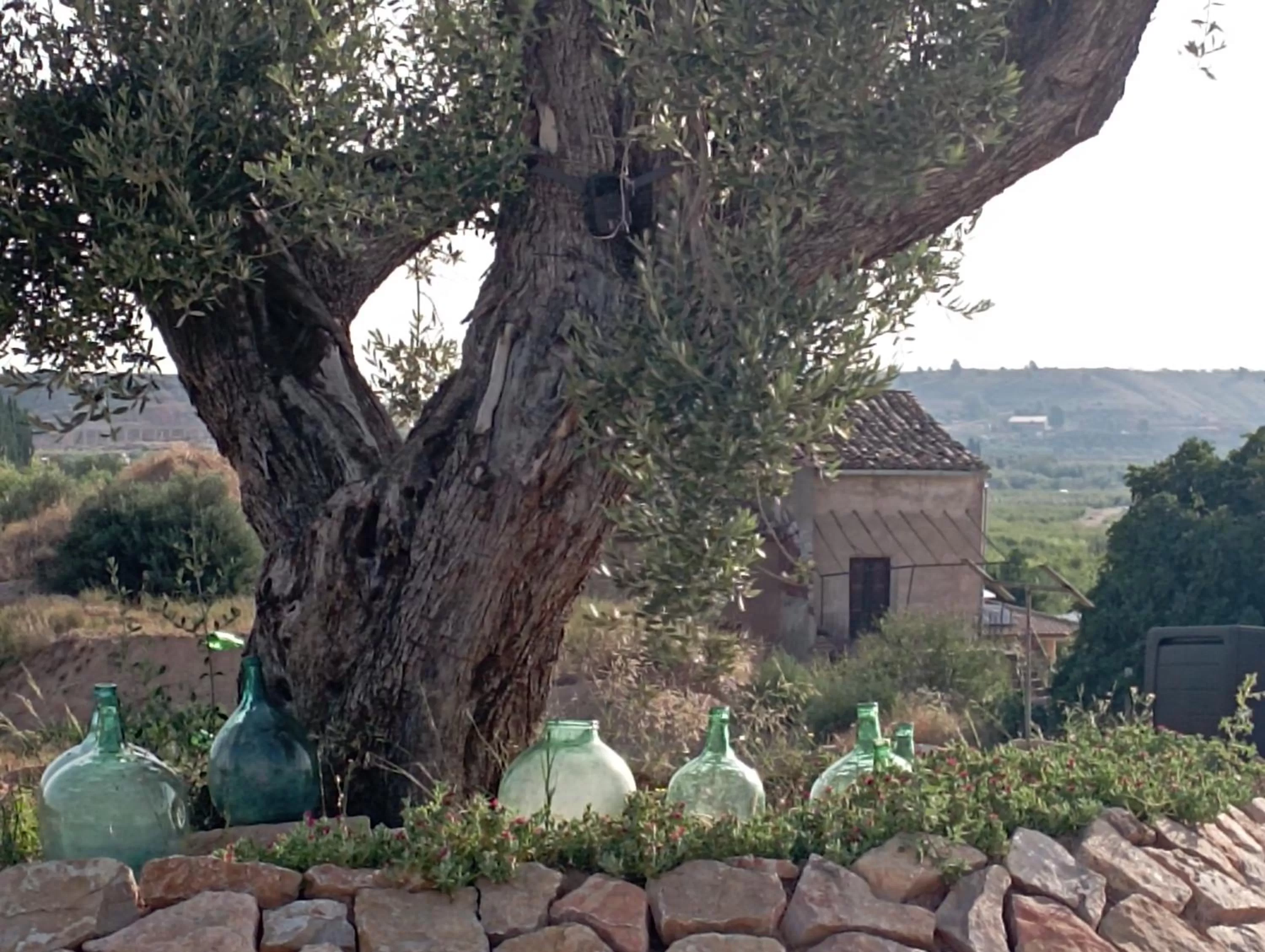 Garden in Cabezo Buñuel Hostal