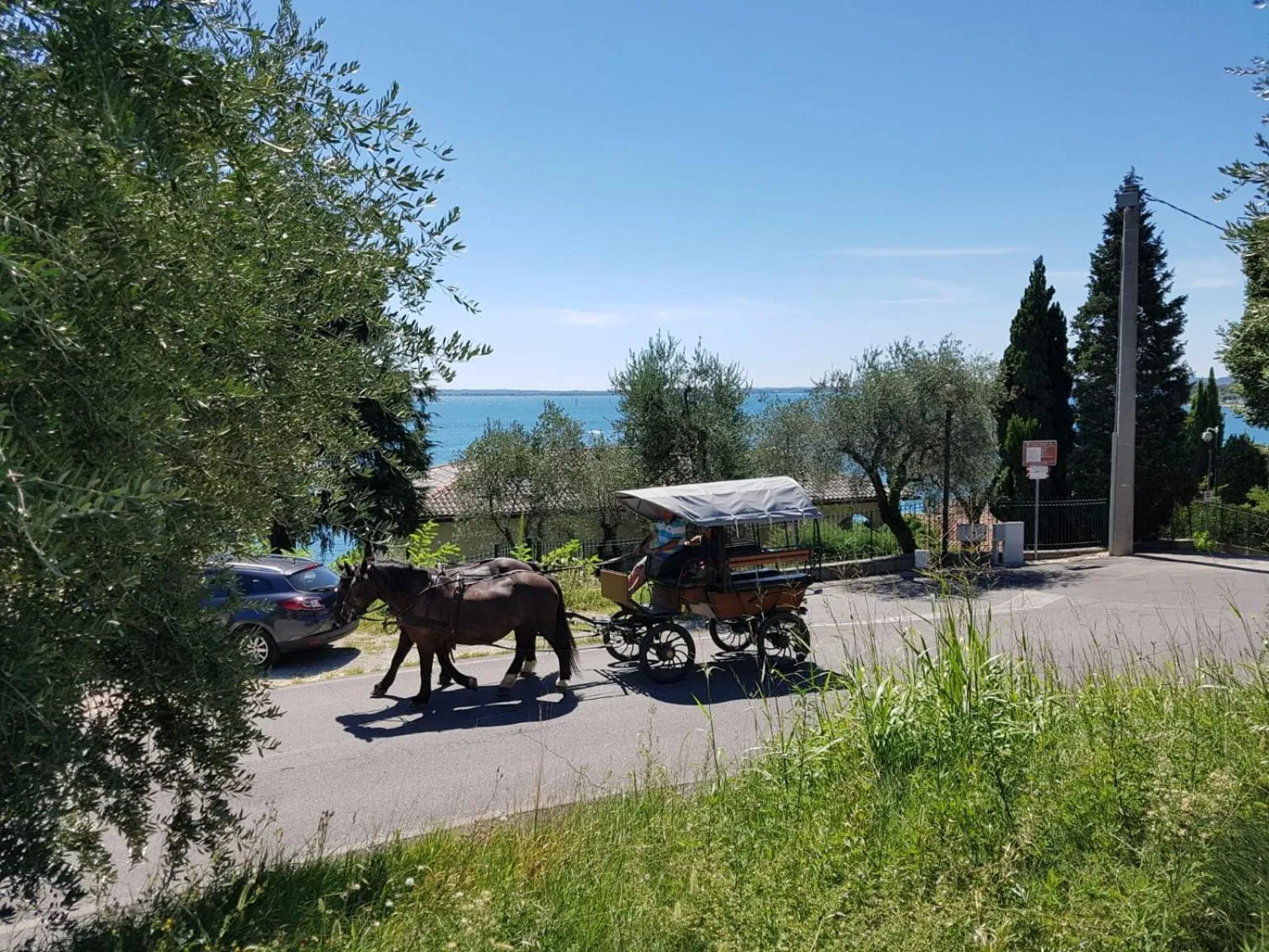 Activities in Lamasu RioVerde - Lago di Garda