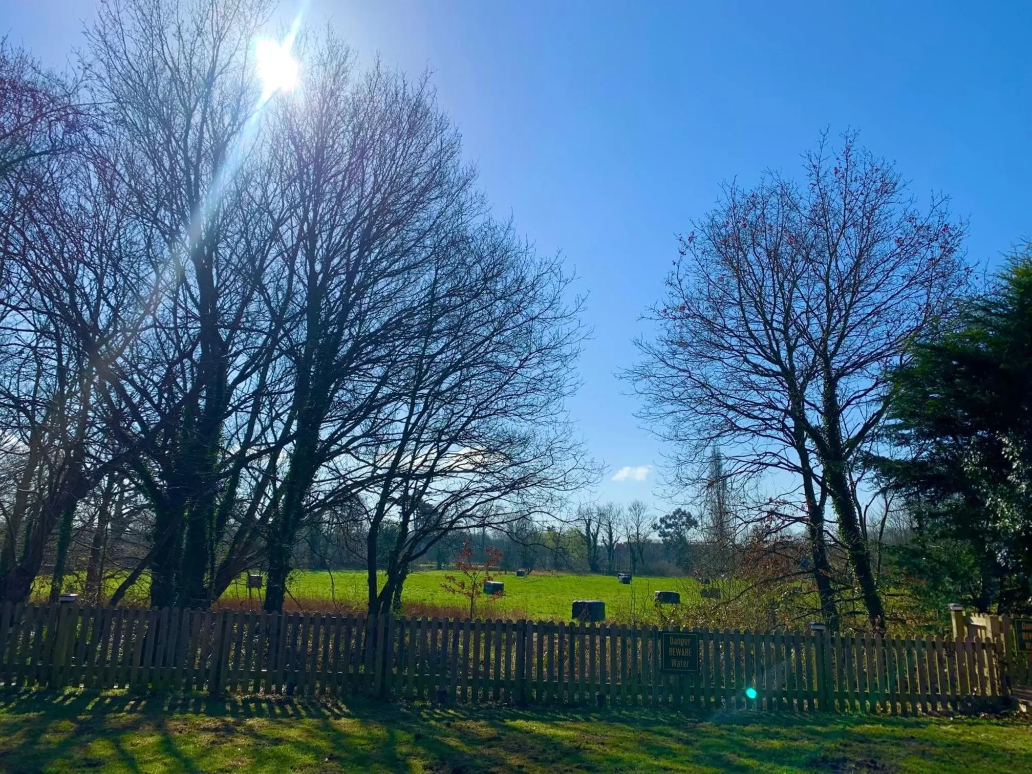 Spring in Crown & Anchor