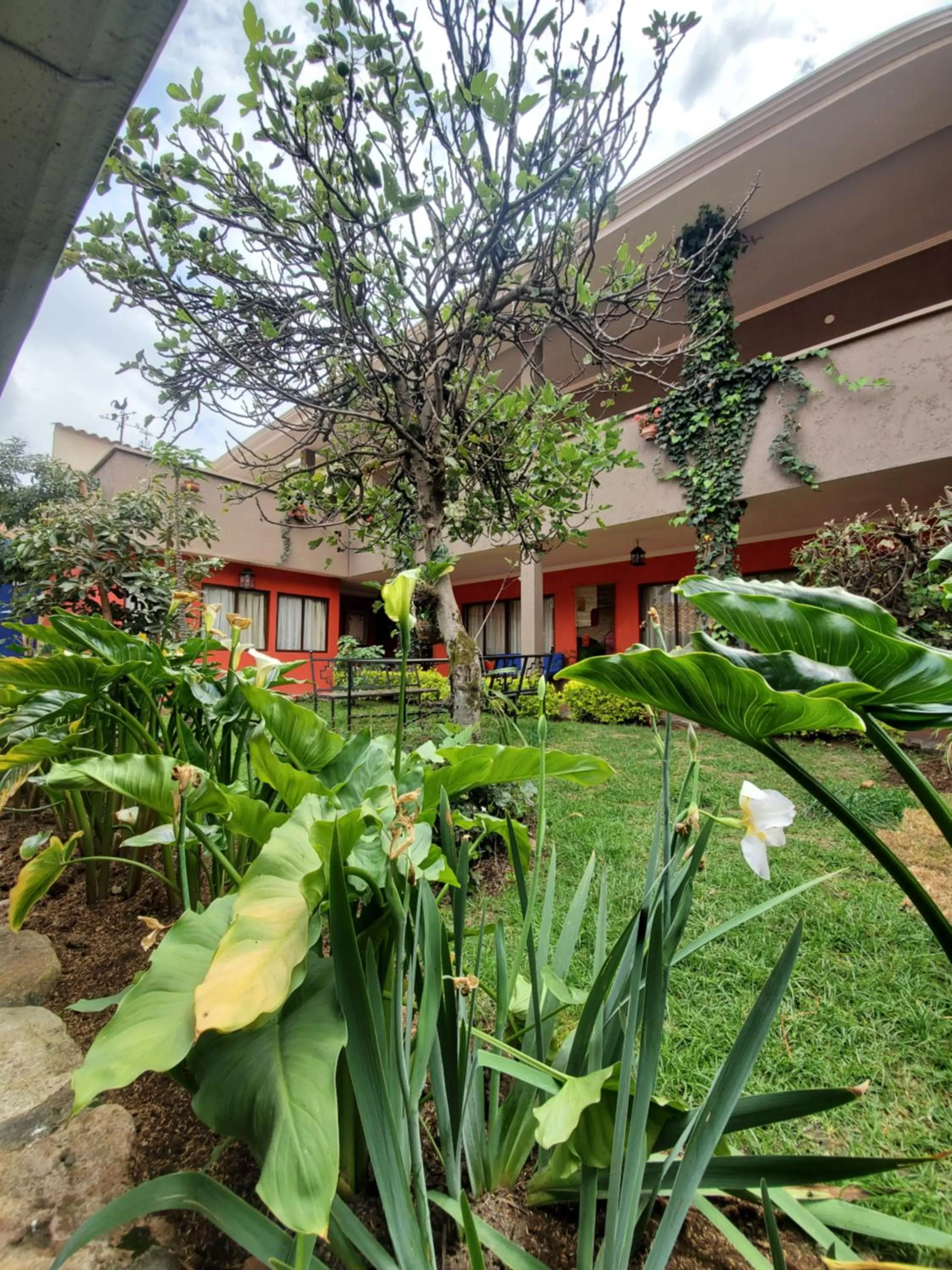 Property Building in Hotel Casa Merced