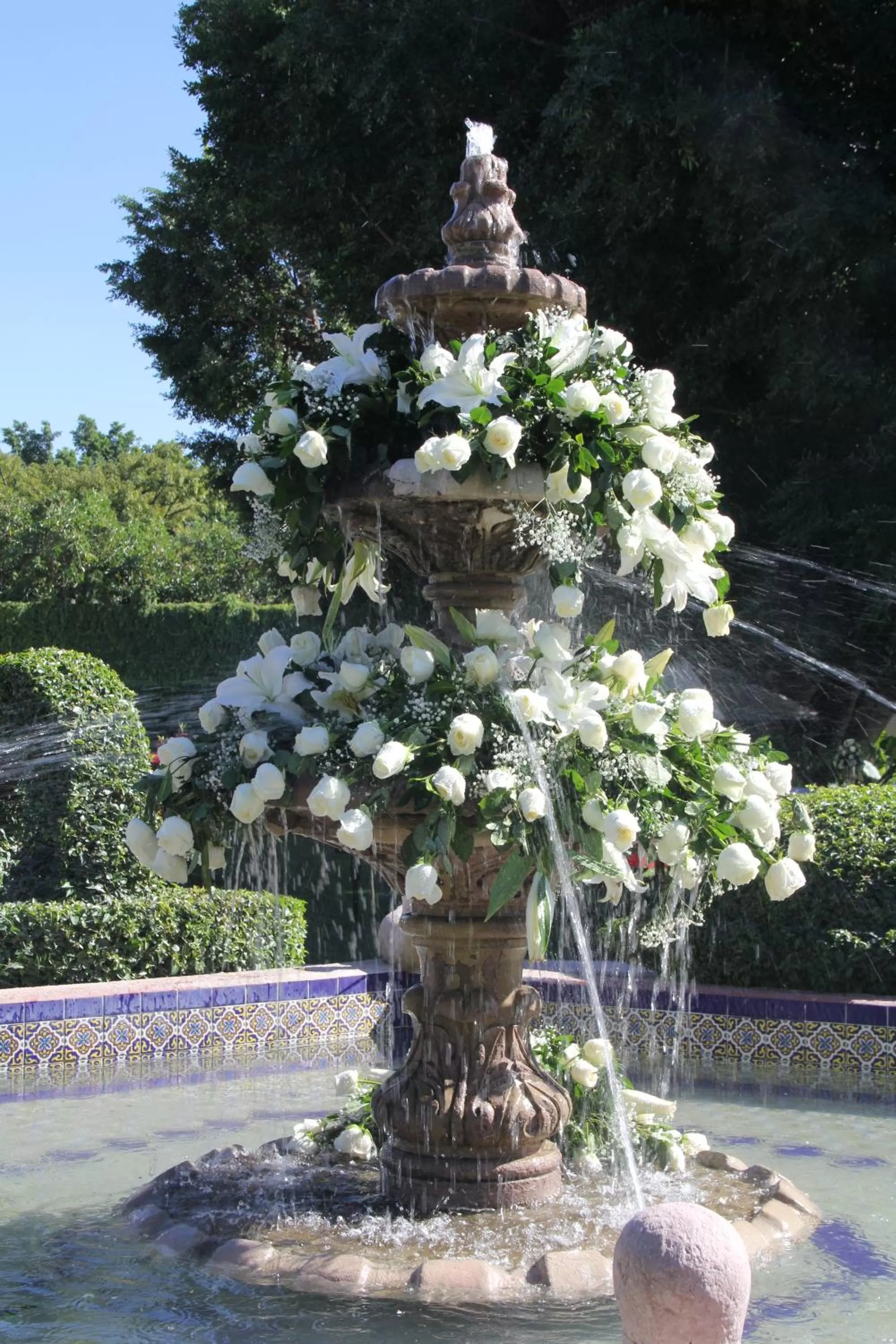 Garden in Hotel La Villa Real