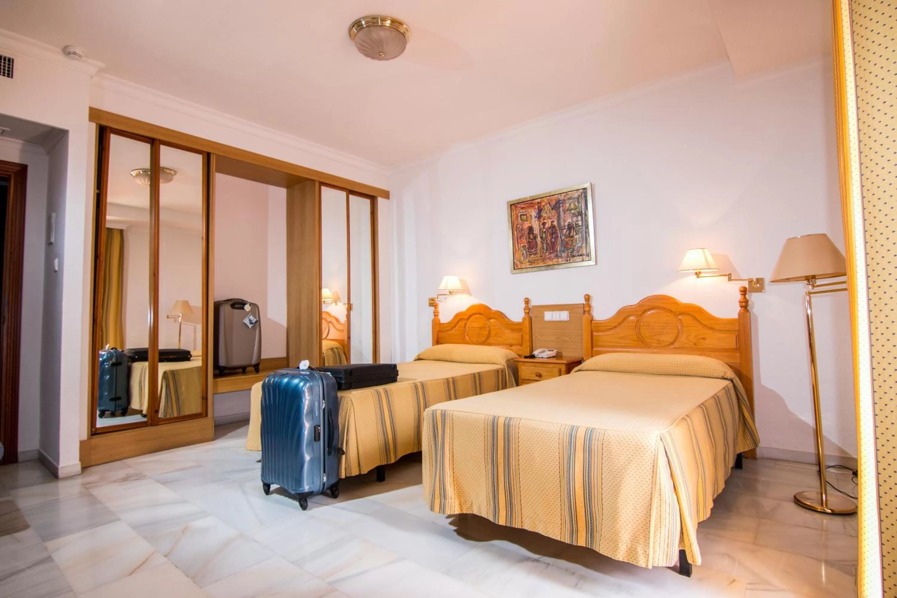 Double Room - Single Use in Hotel Abades Loja