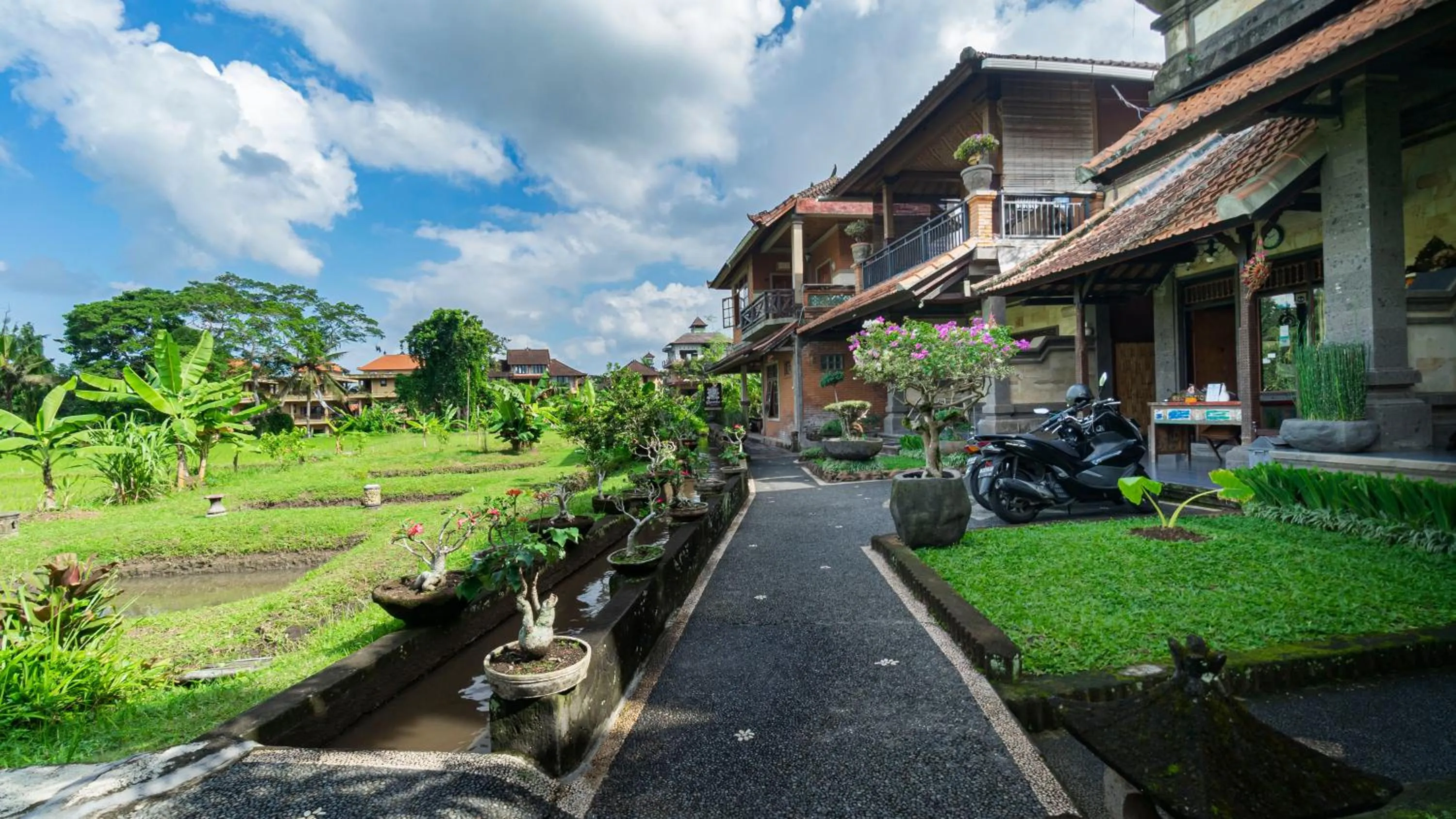 Day in Kun - Kun Guest House Ubud