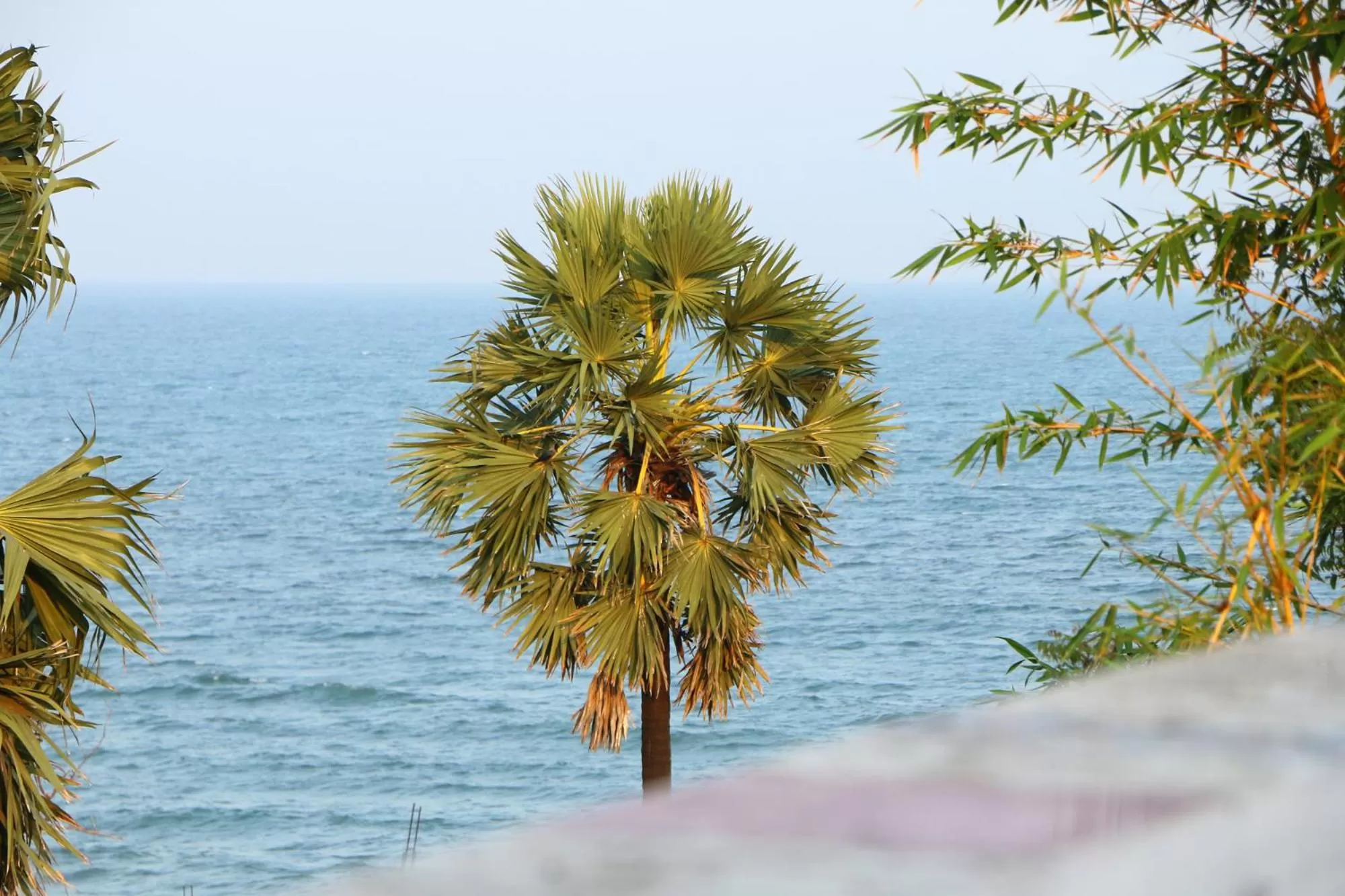 Beach in Bluetique Beach House