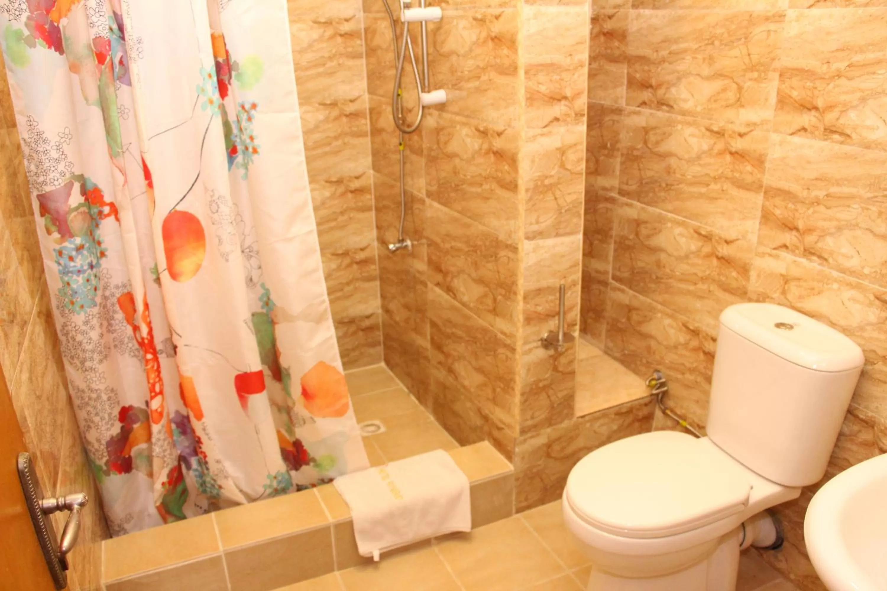 Shower in Hotel Rosebud