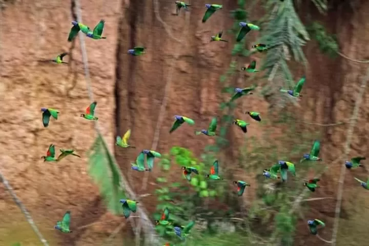 Hiking in Hostal Limoncocha