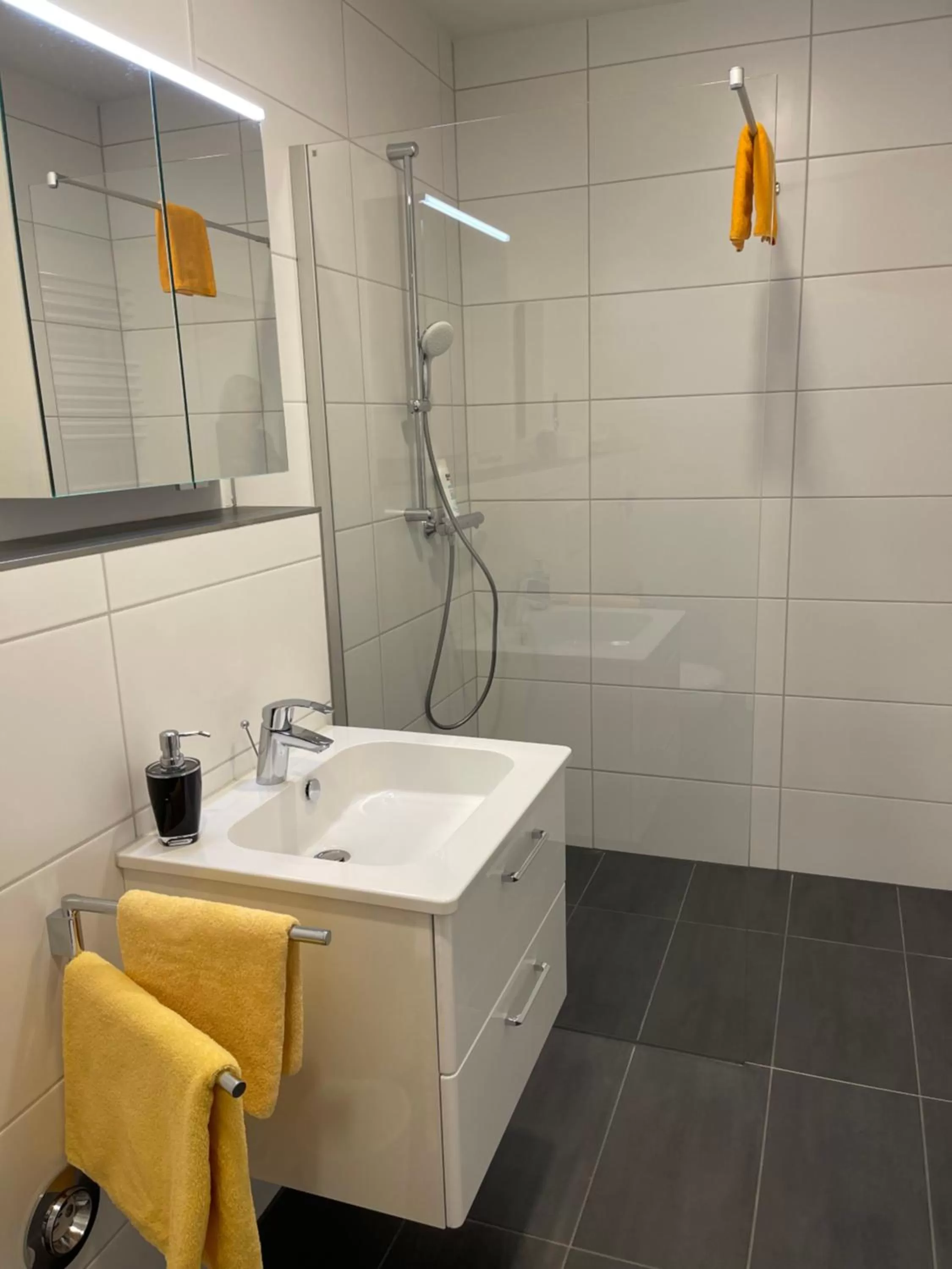 Bathroom in Hotel Villa Vital Munster