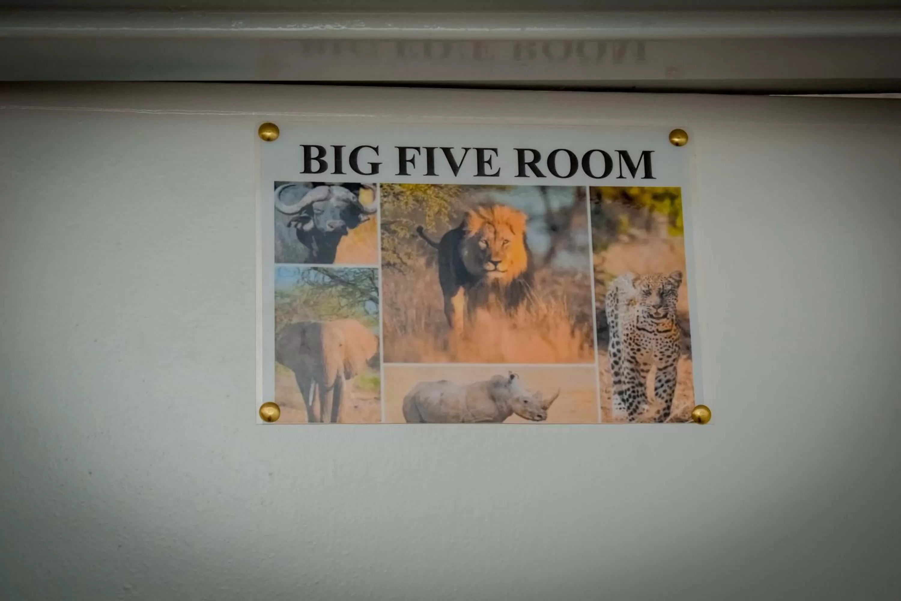 Text overlay in INZOZI AFRICA HOUSE B&B-Gishushu