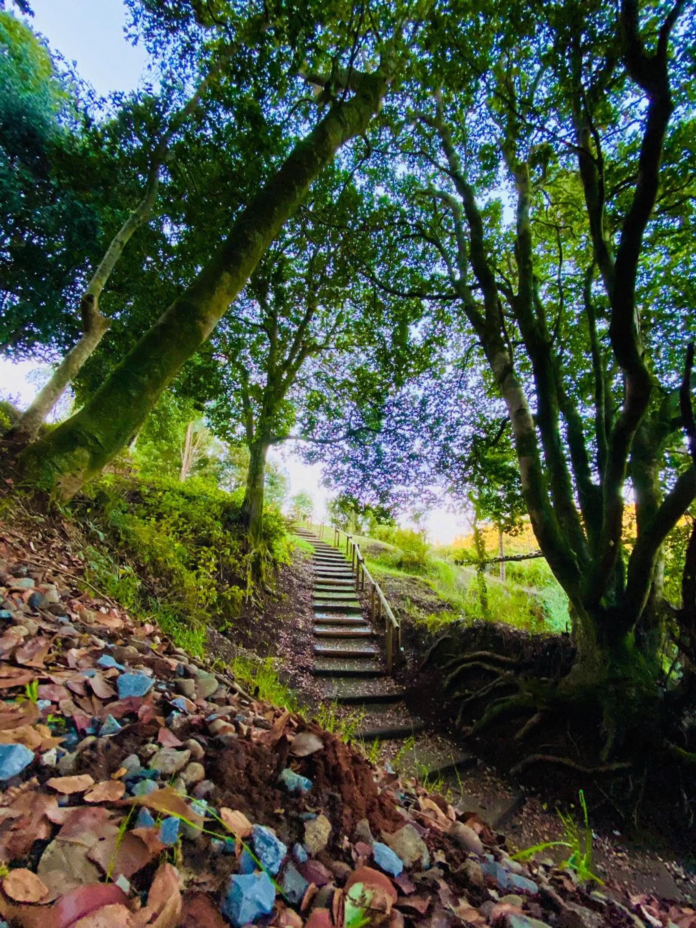 Natural landscape in Pura Lodge
