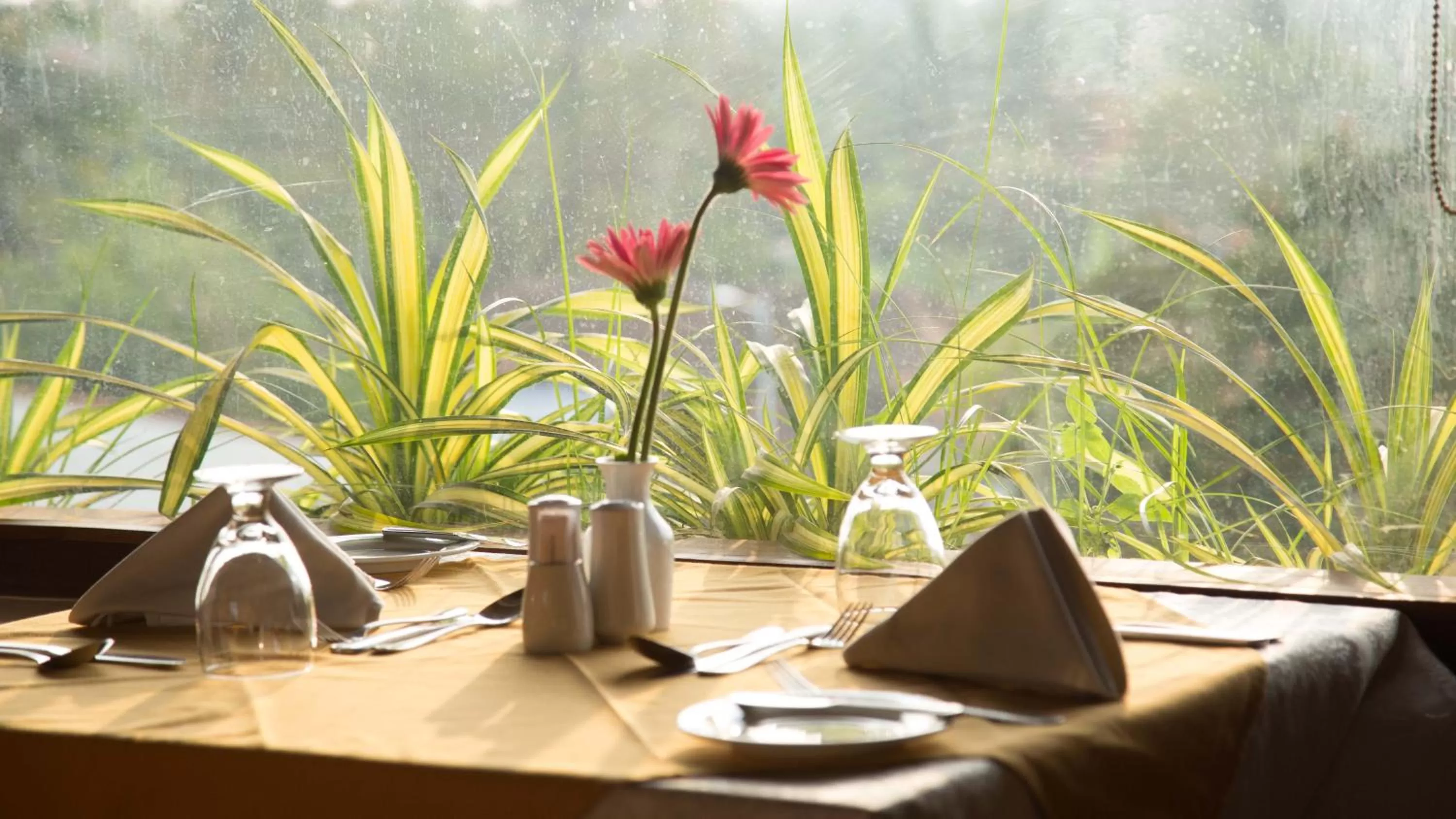 Restaurant/Places to Eat in The Thinnai - All-Suites Boutique Hotel