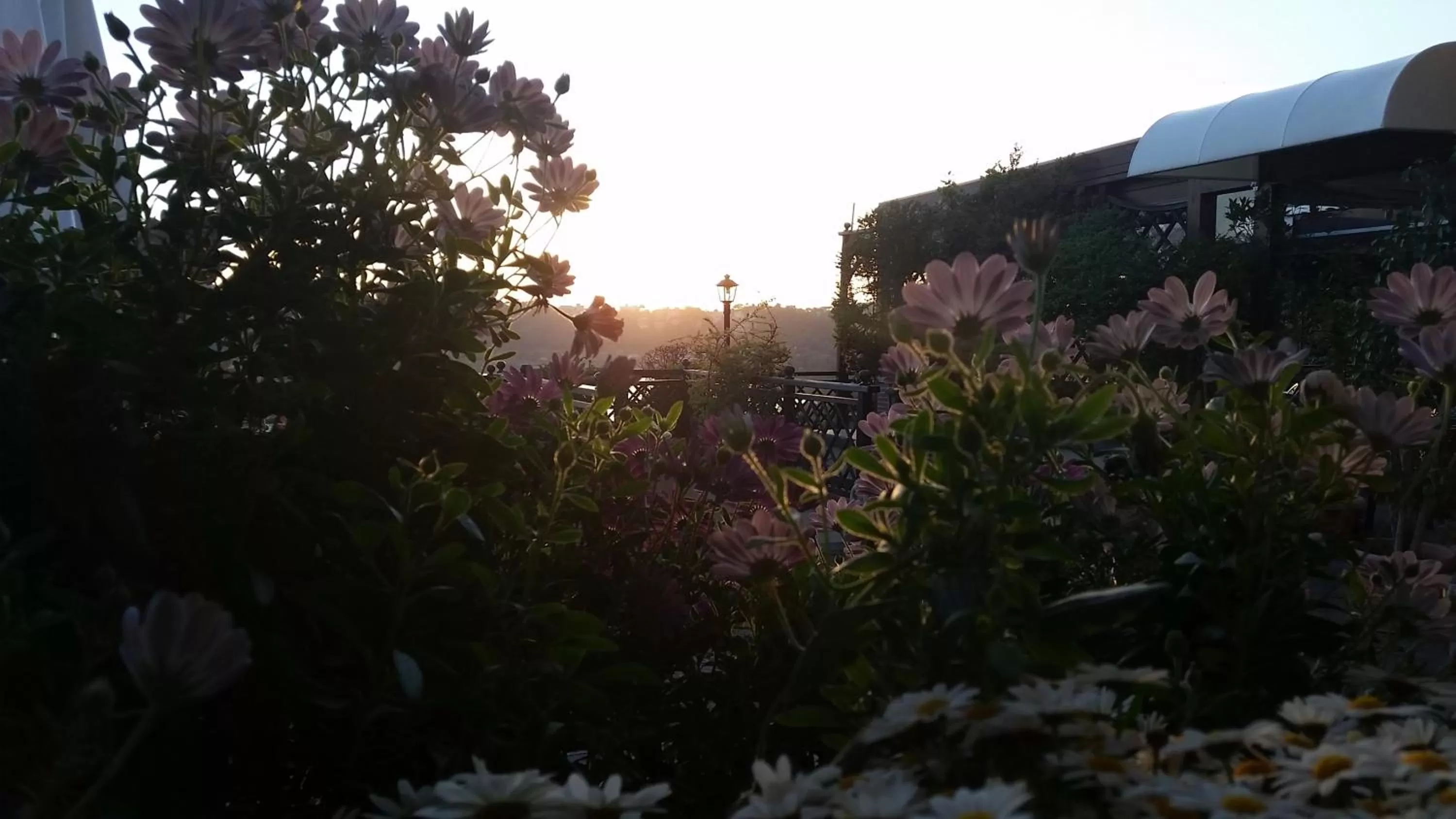 Sunset in Hotel Villa Degli Angeli