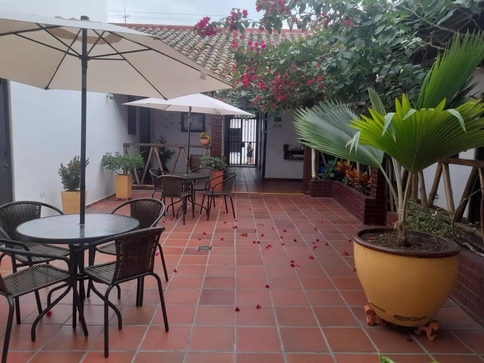 Patio in Hotel Colonial San Felipe