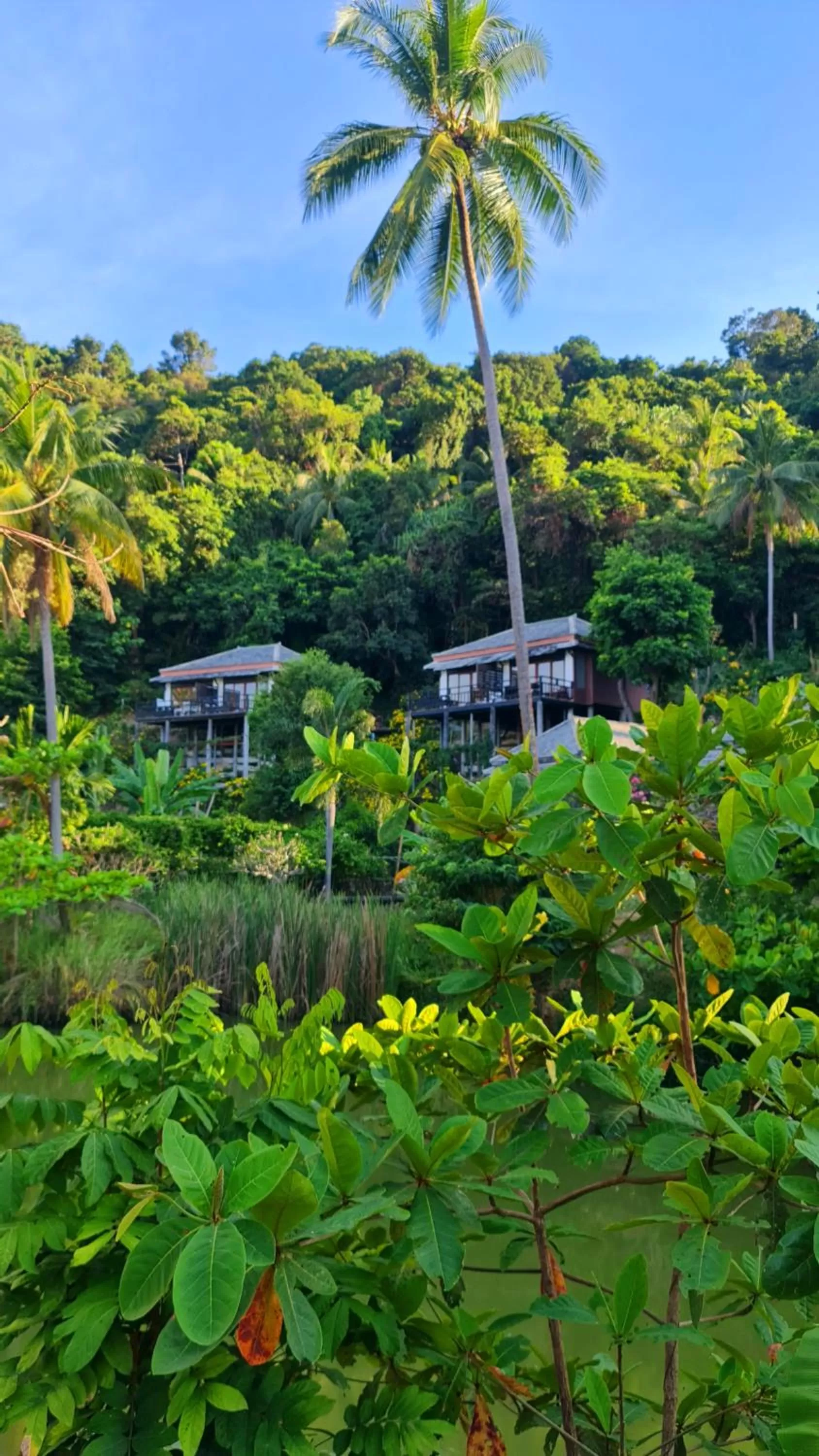 Property building in Thanya Beach Resort - SHA Plus