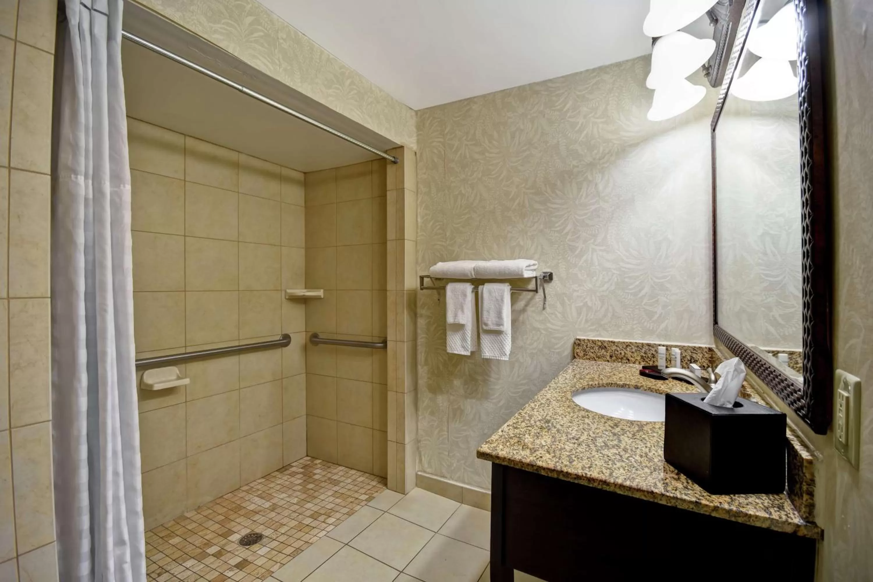 Bathroom in Embassy Suites Charleston - Historic District