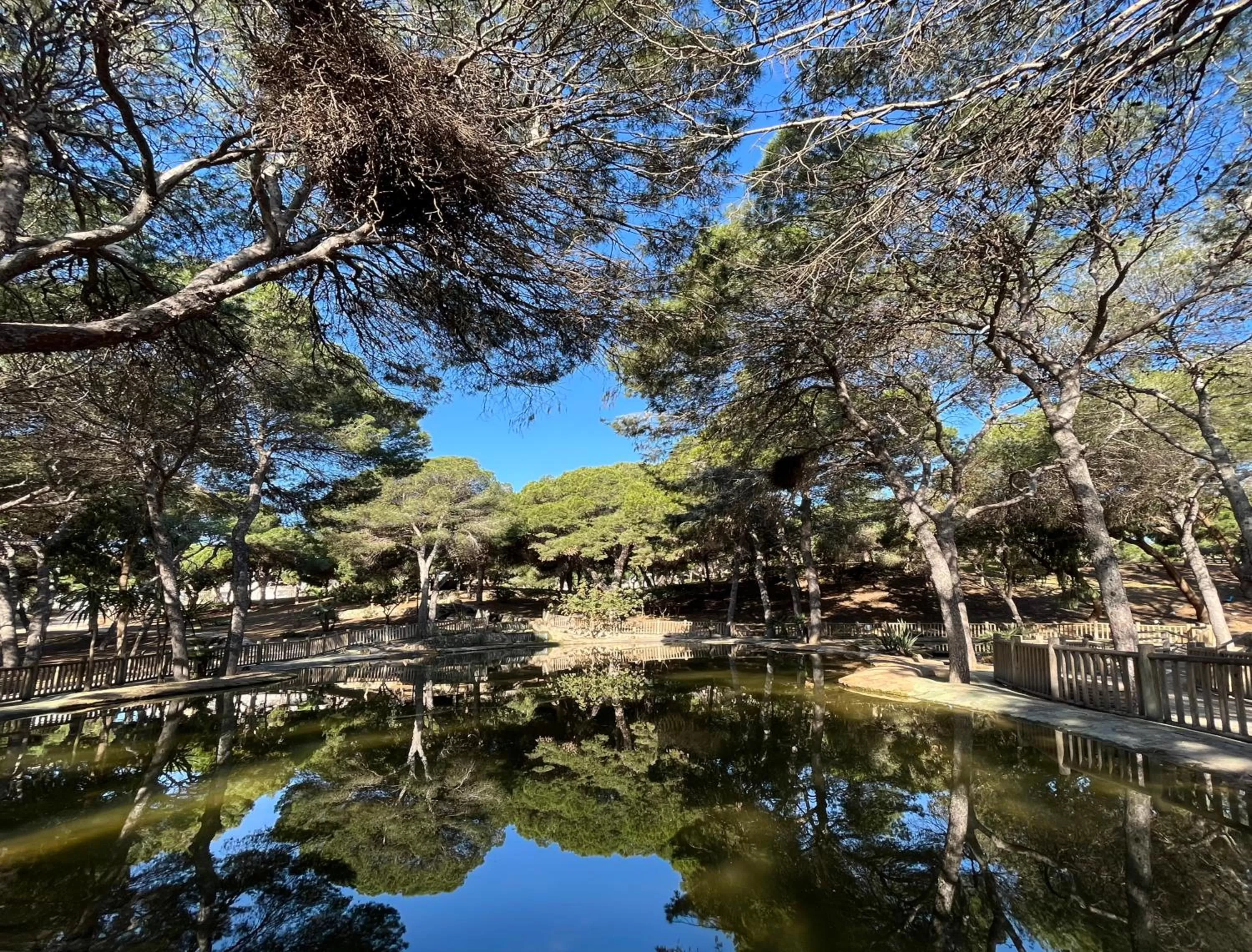 Nearby landmark in Hotel ParqueMar