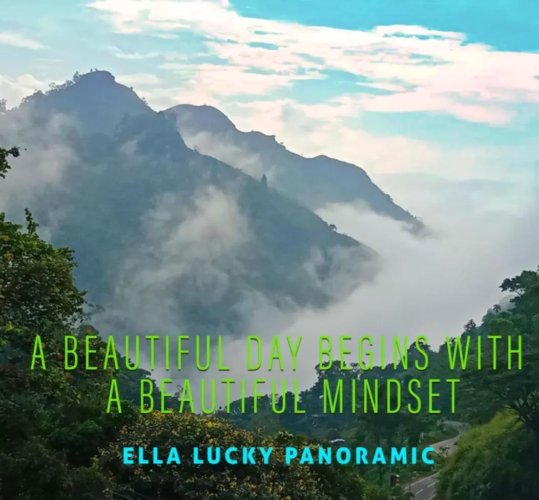 Ella Lucky Panoramic