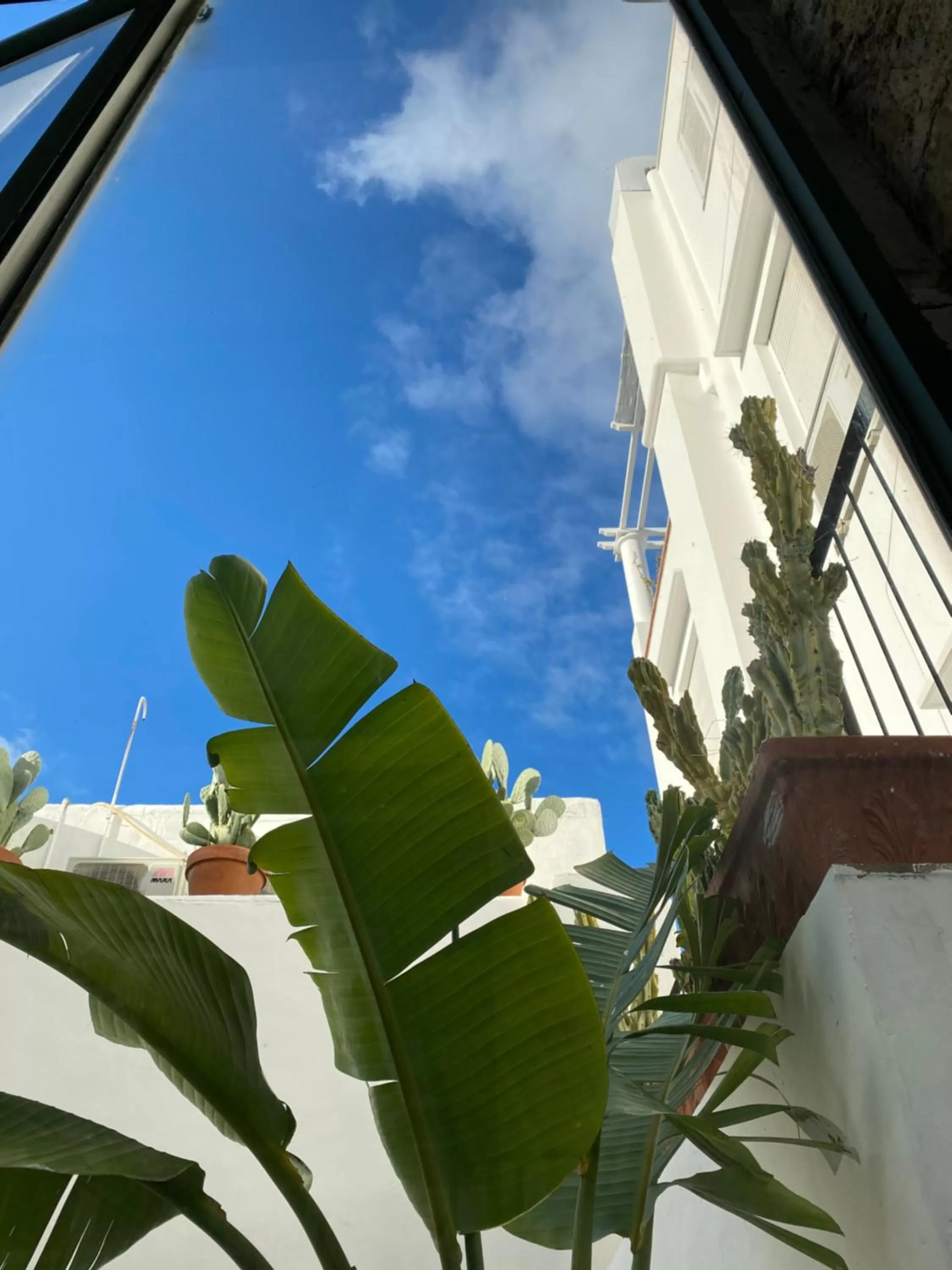 Suites Edivino Design Capri